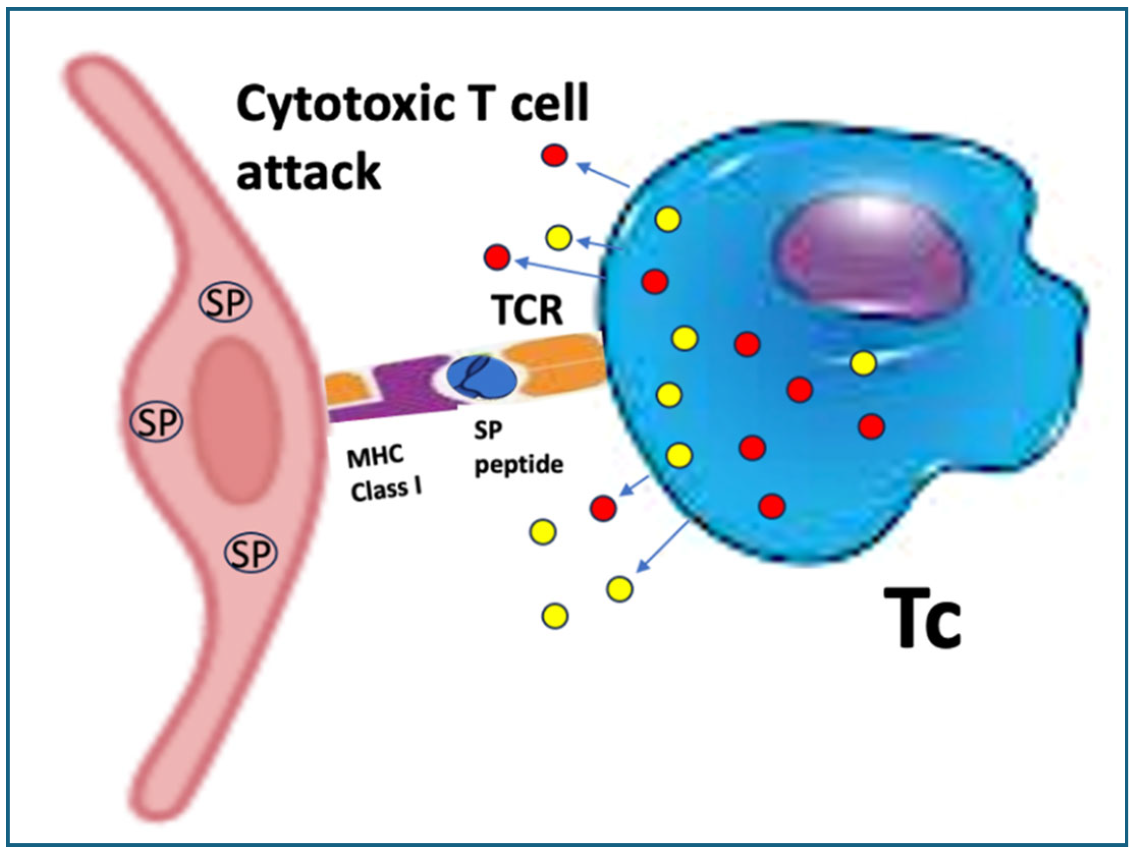 Preprints 163448 g005