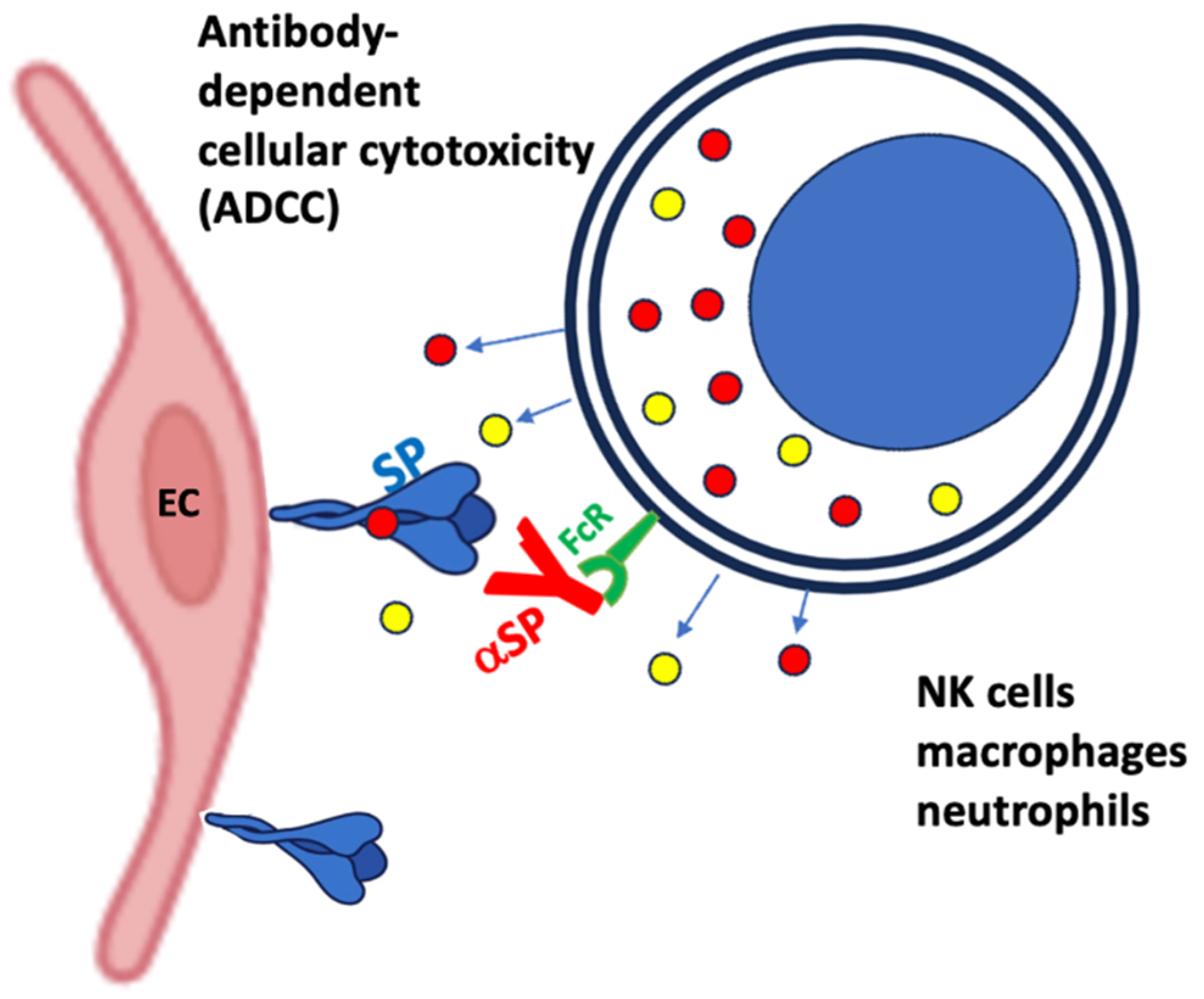 Preprints 163448 g007