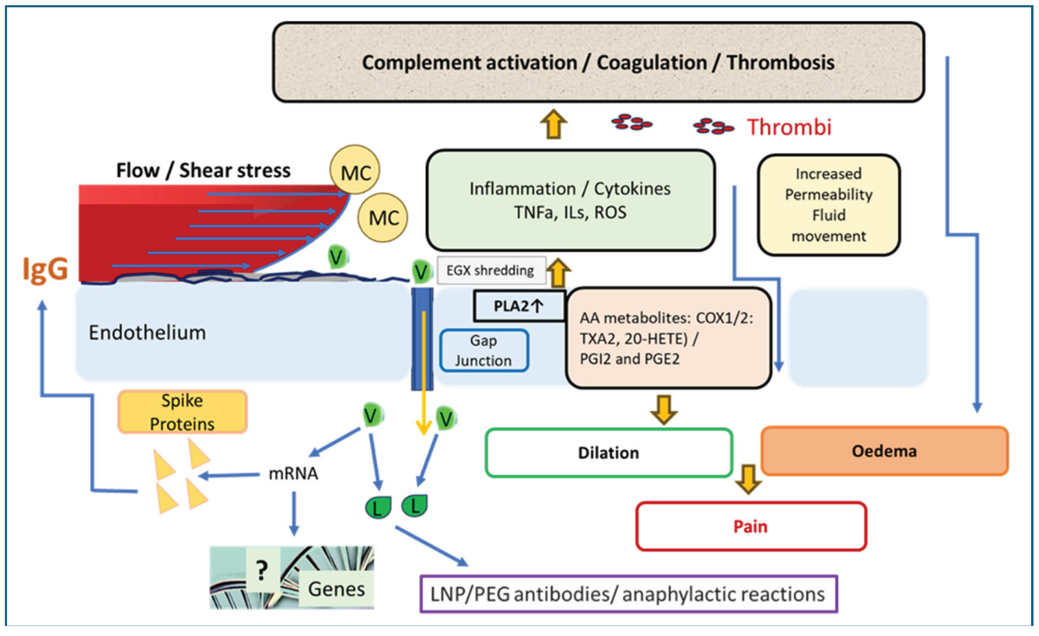 Preprints 163448 g008