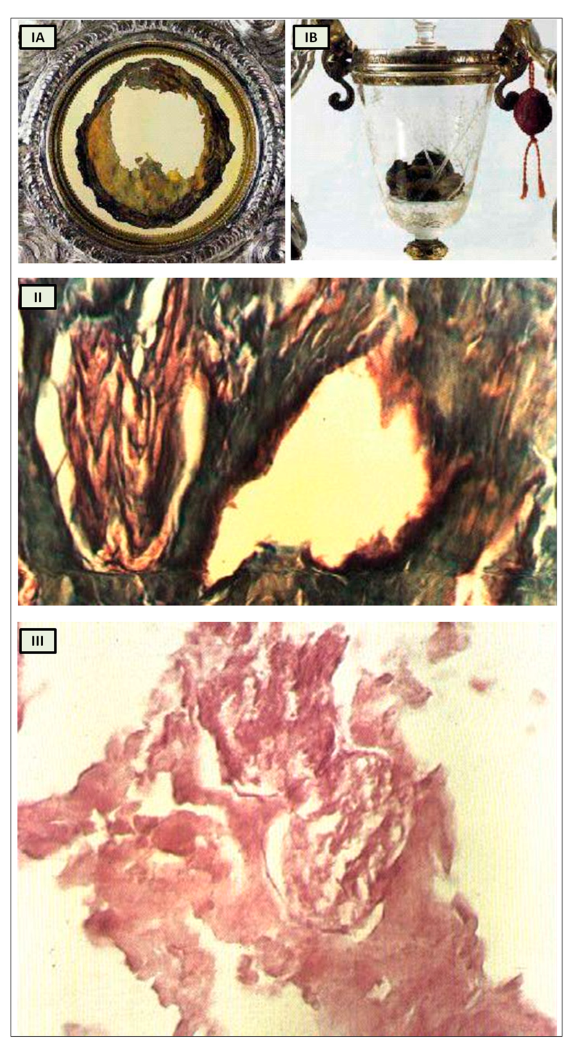 Preprints 97297 g003