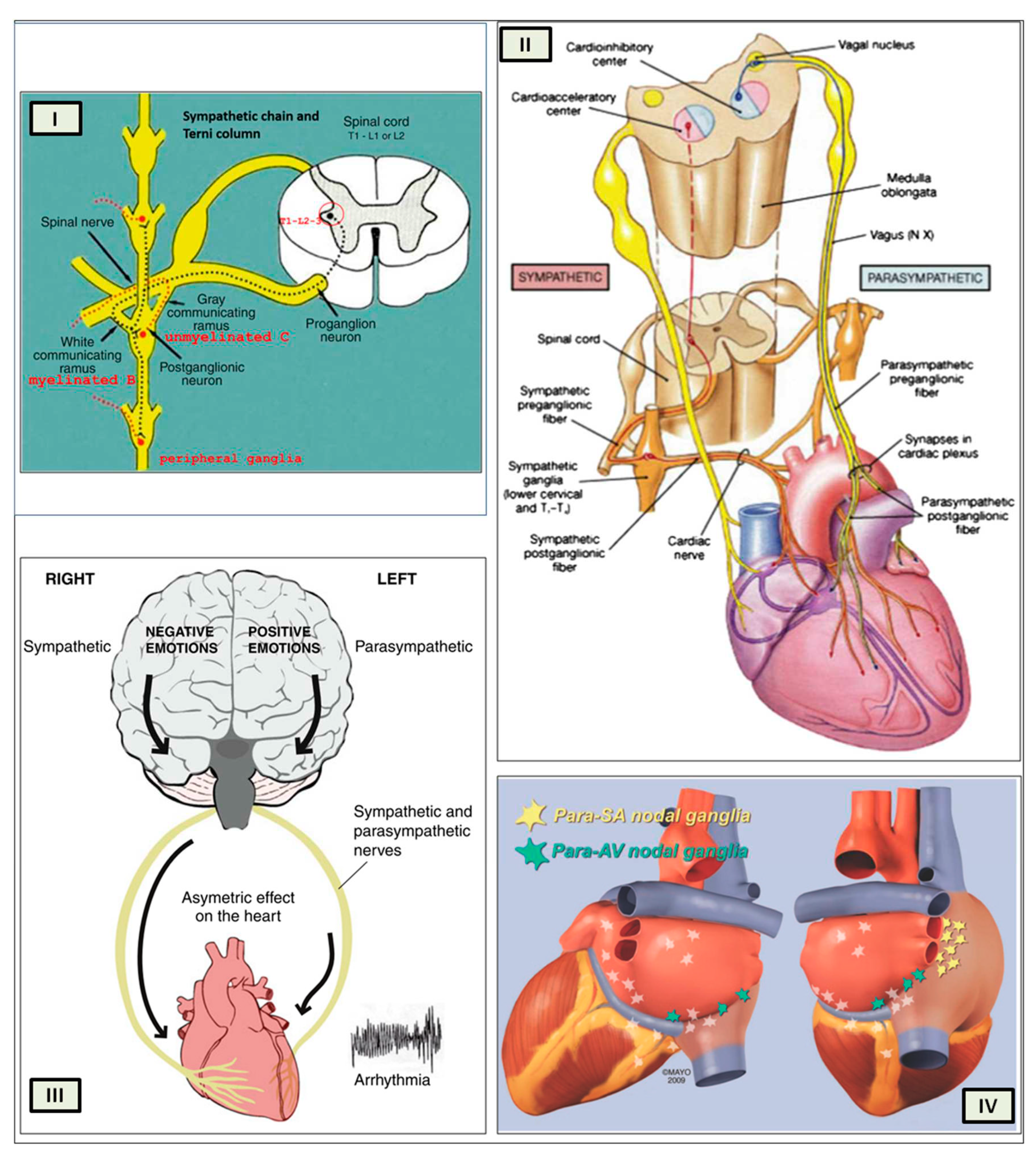 Preprints 97297 g005