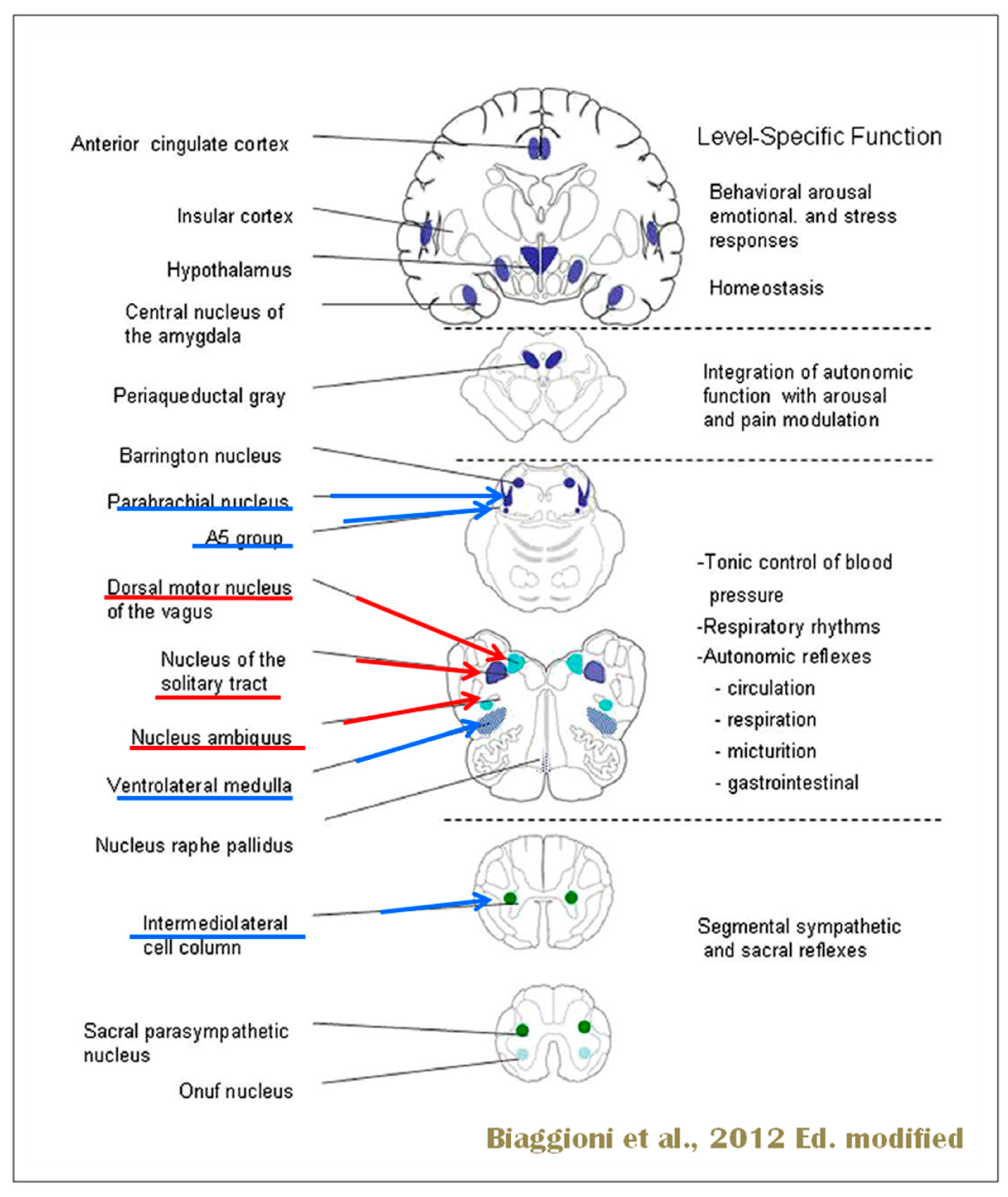 Preprints 97297 g006
