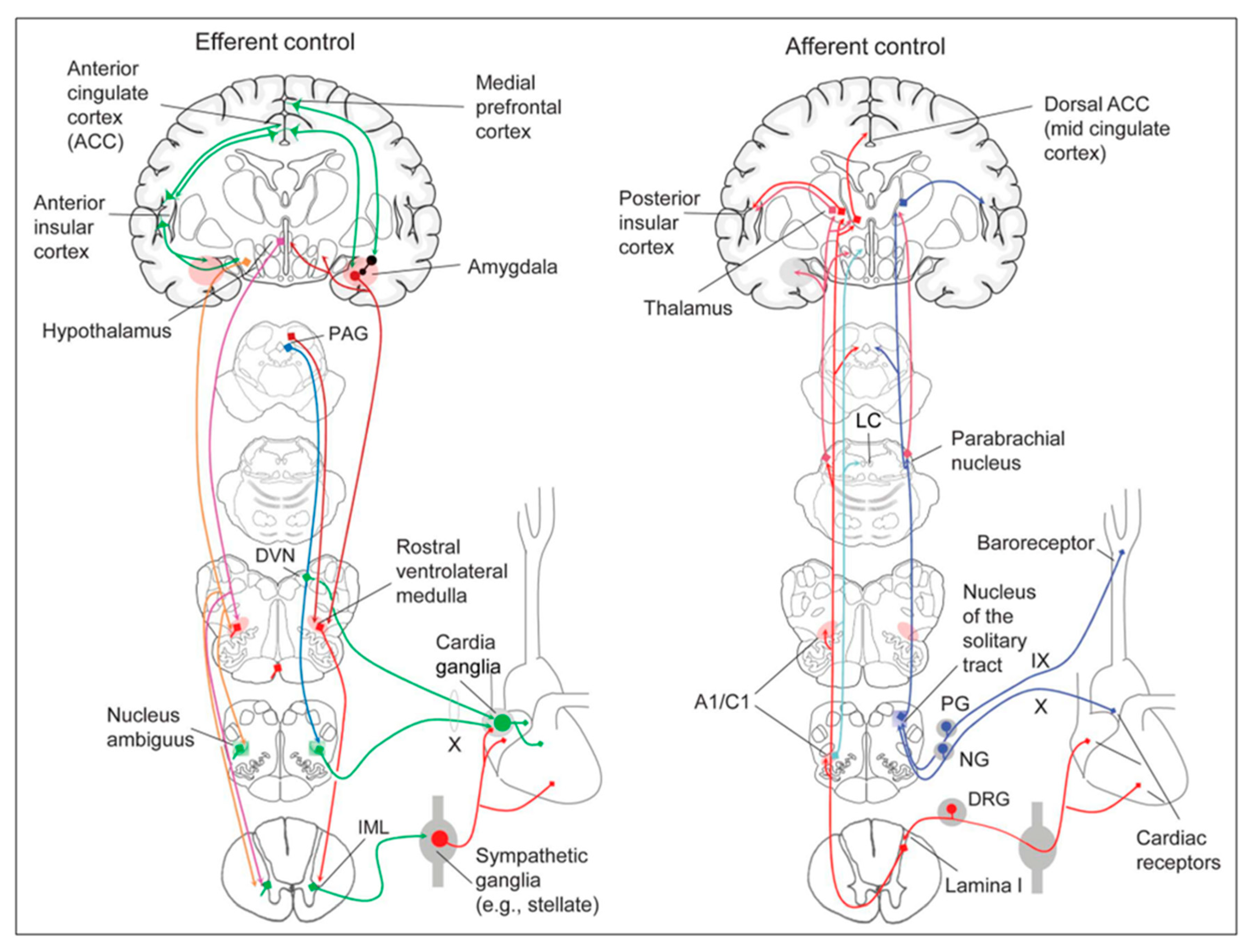 Preprints 97297 g008