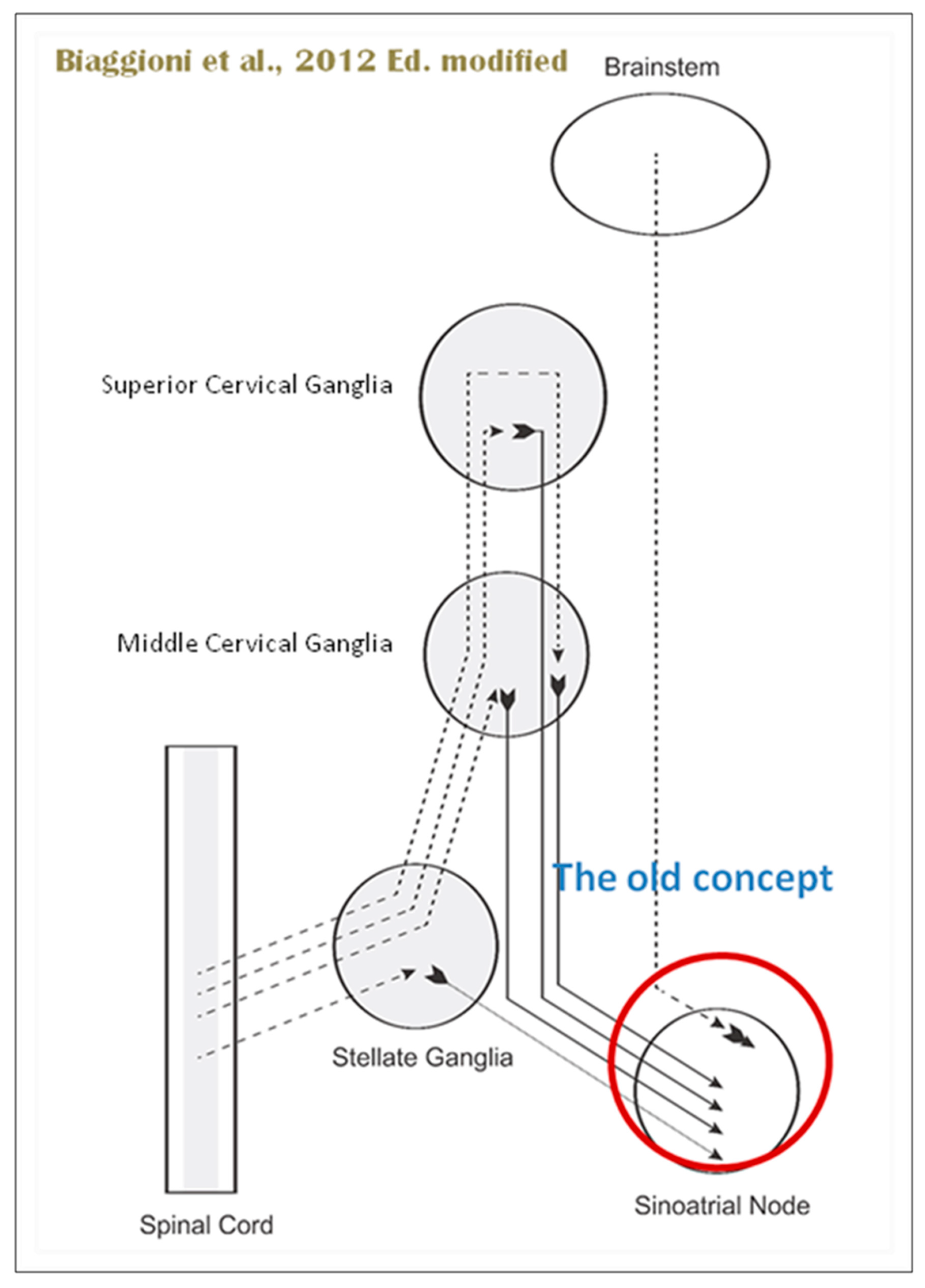 Preprints 97297 g010