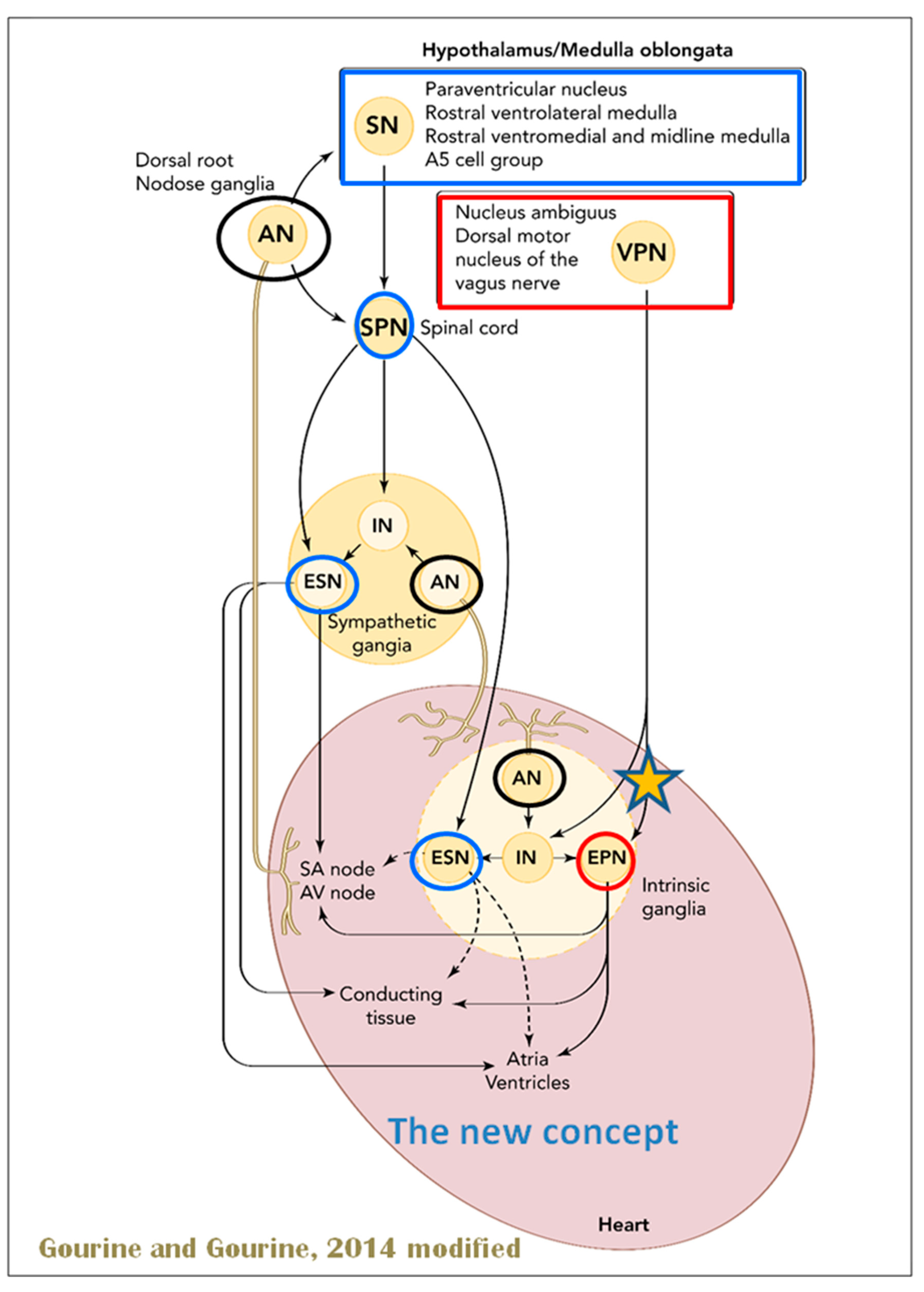 Preprints 97297 g011