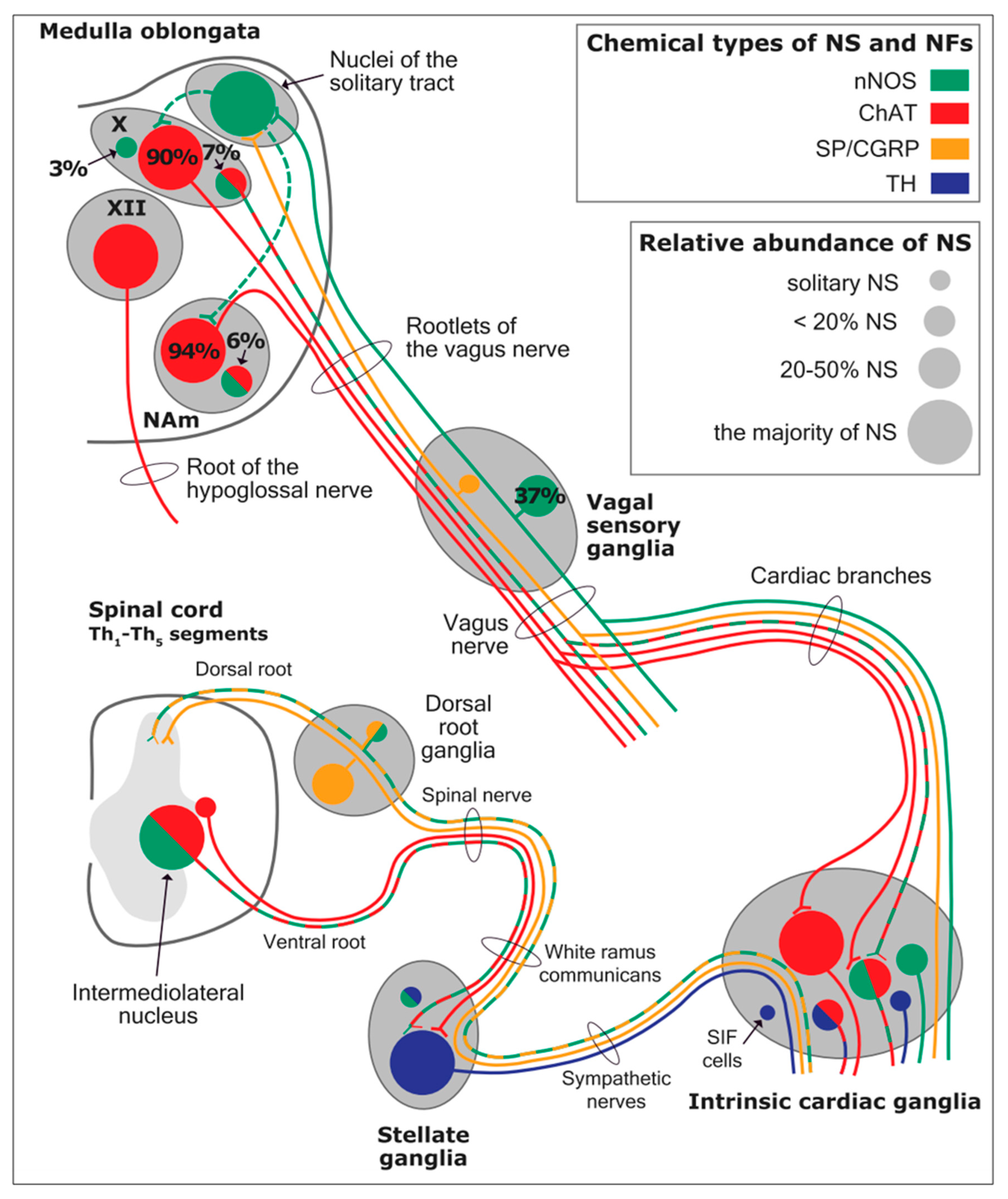 Preprints 97297 g012