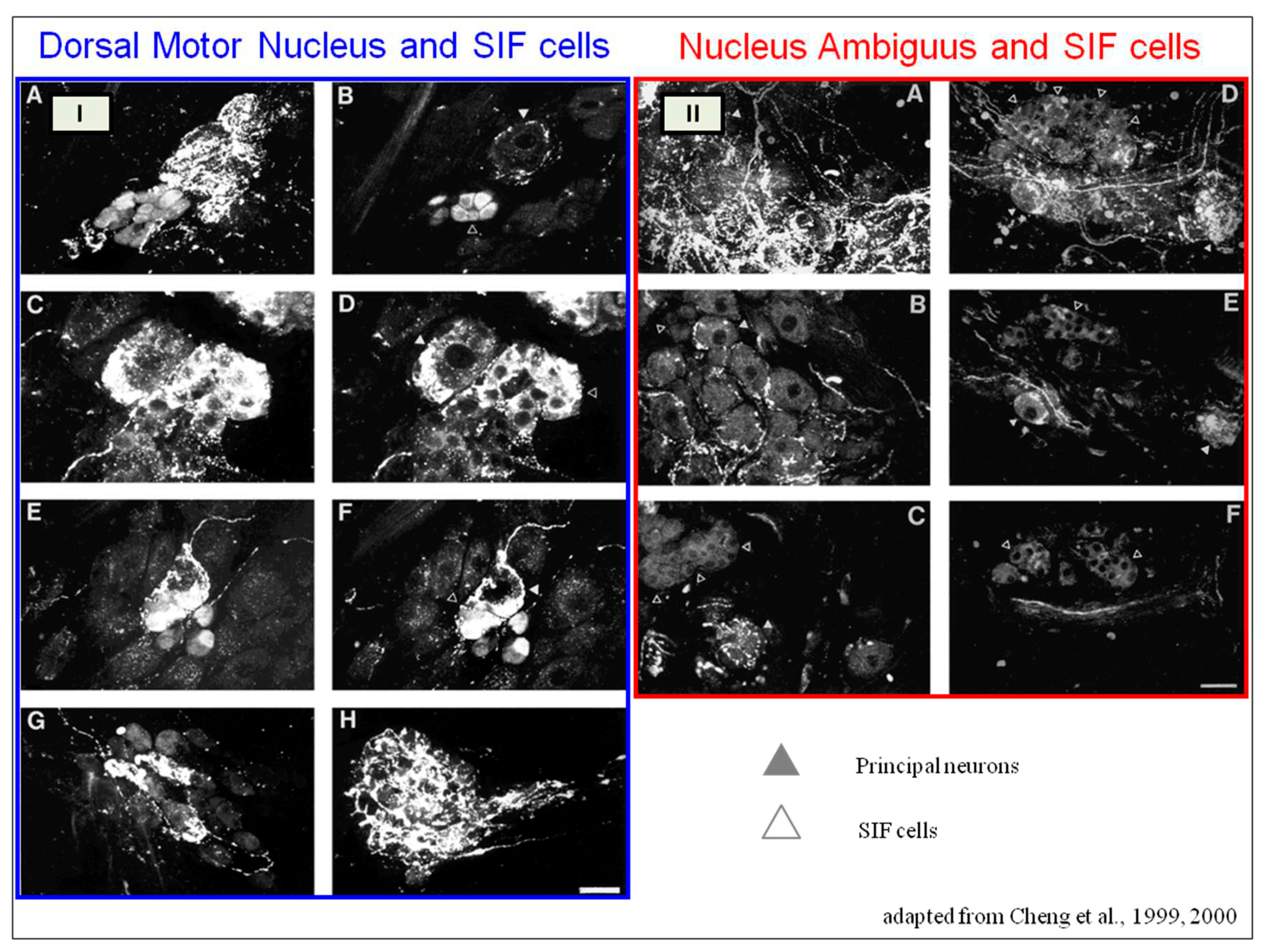 Preprints 97297 g013