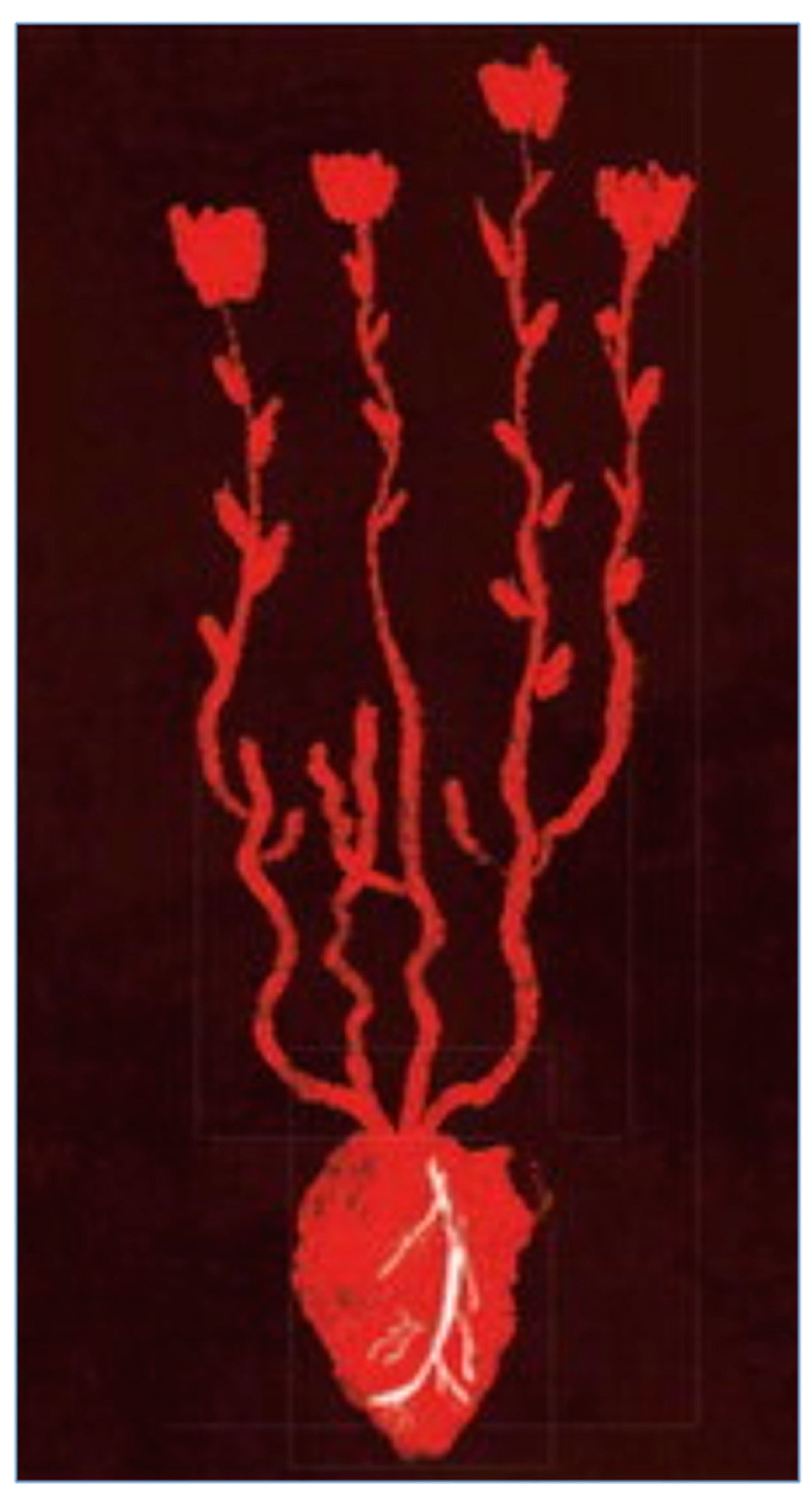 Preprints 97297 g015