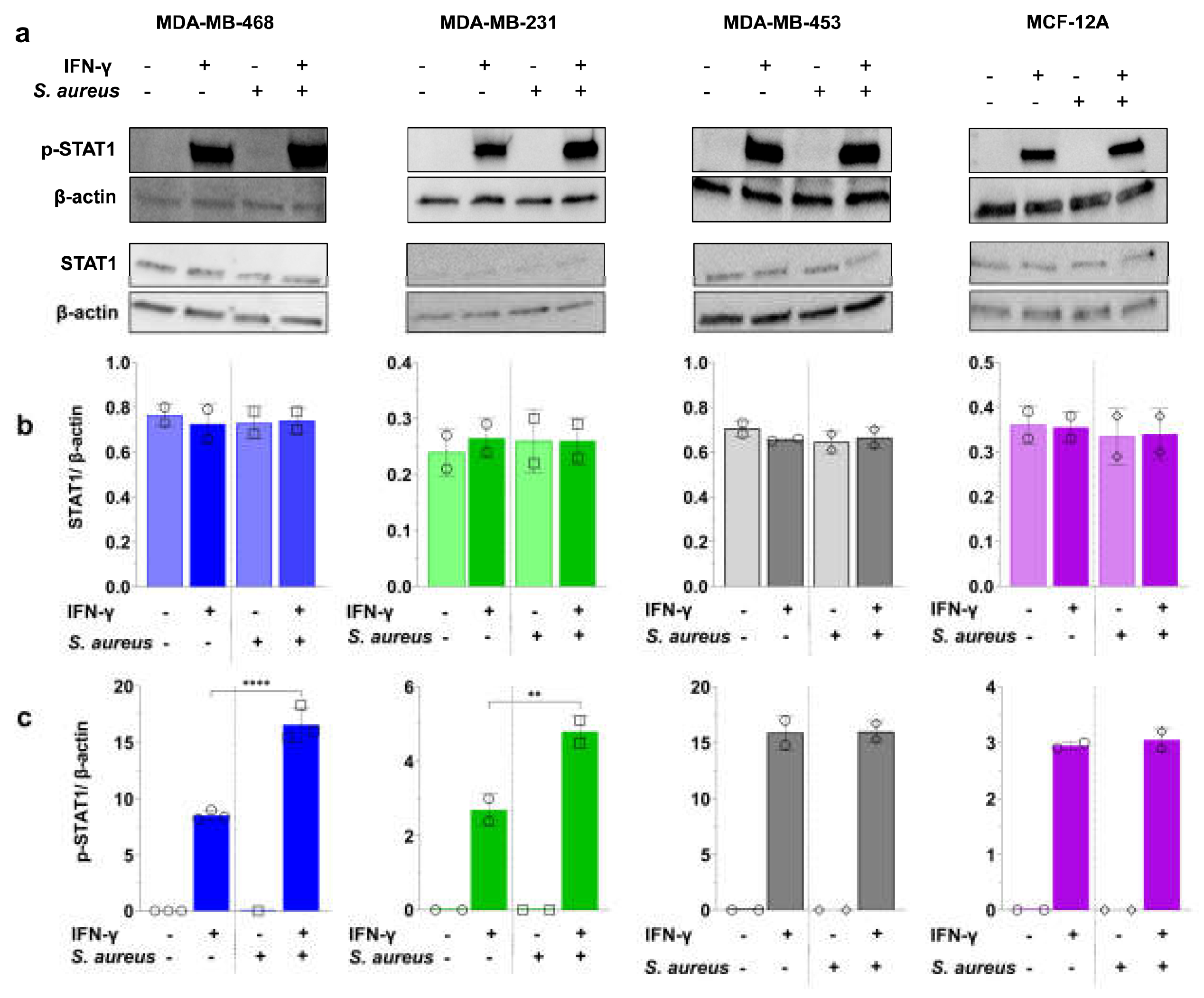 Preprints 155364 g006