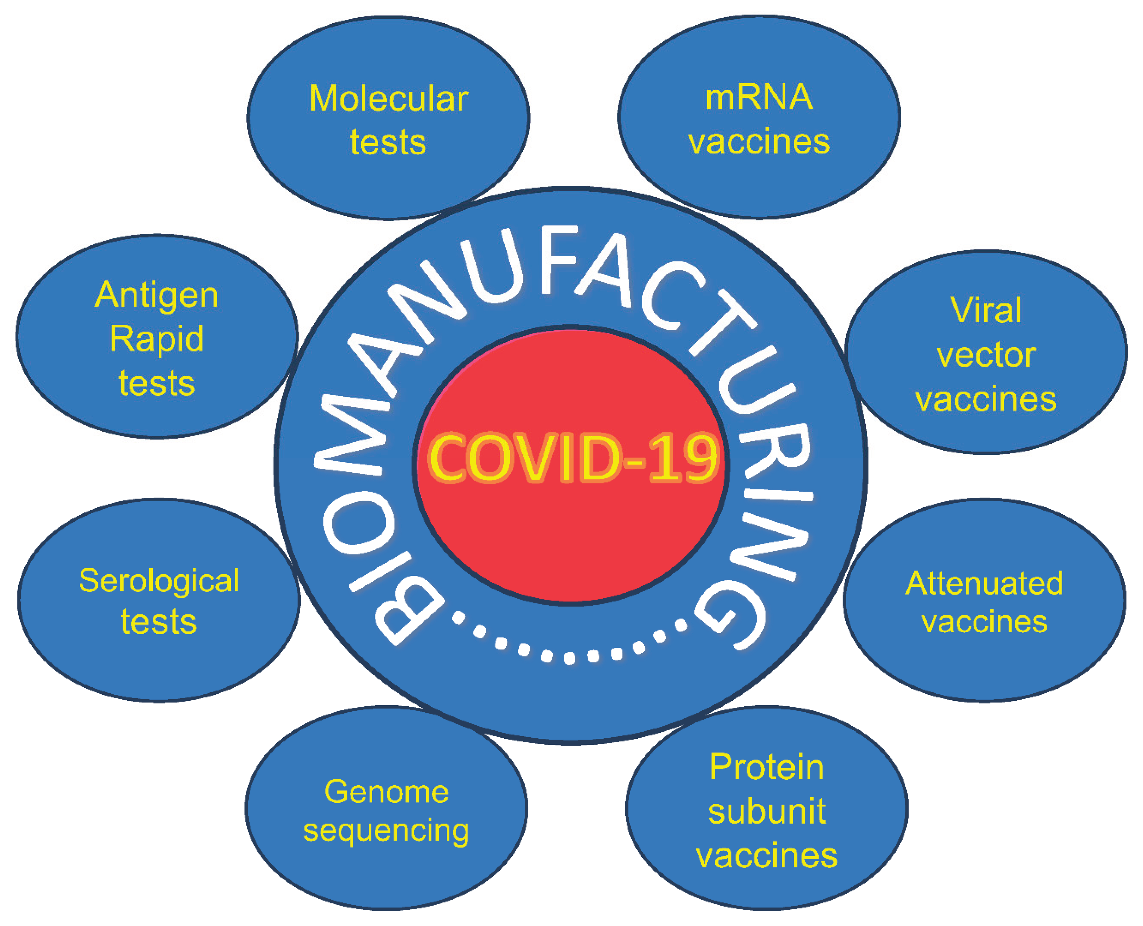 The Role of the Biomanufacturing Industry in Developing Diagnostics and ...