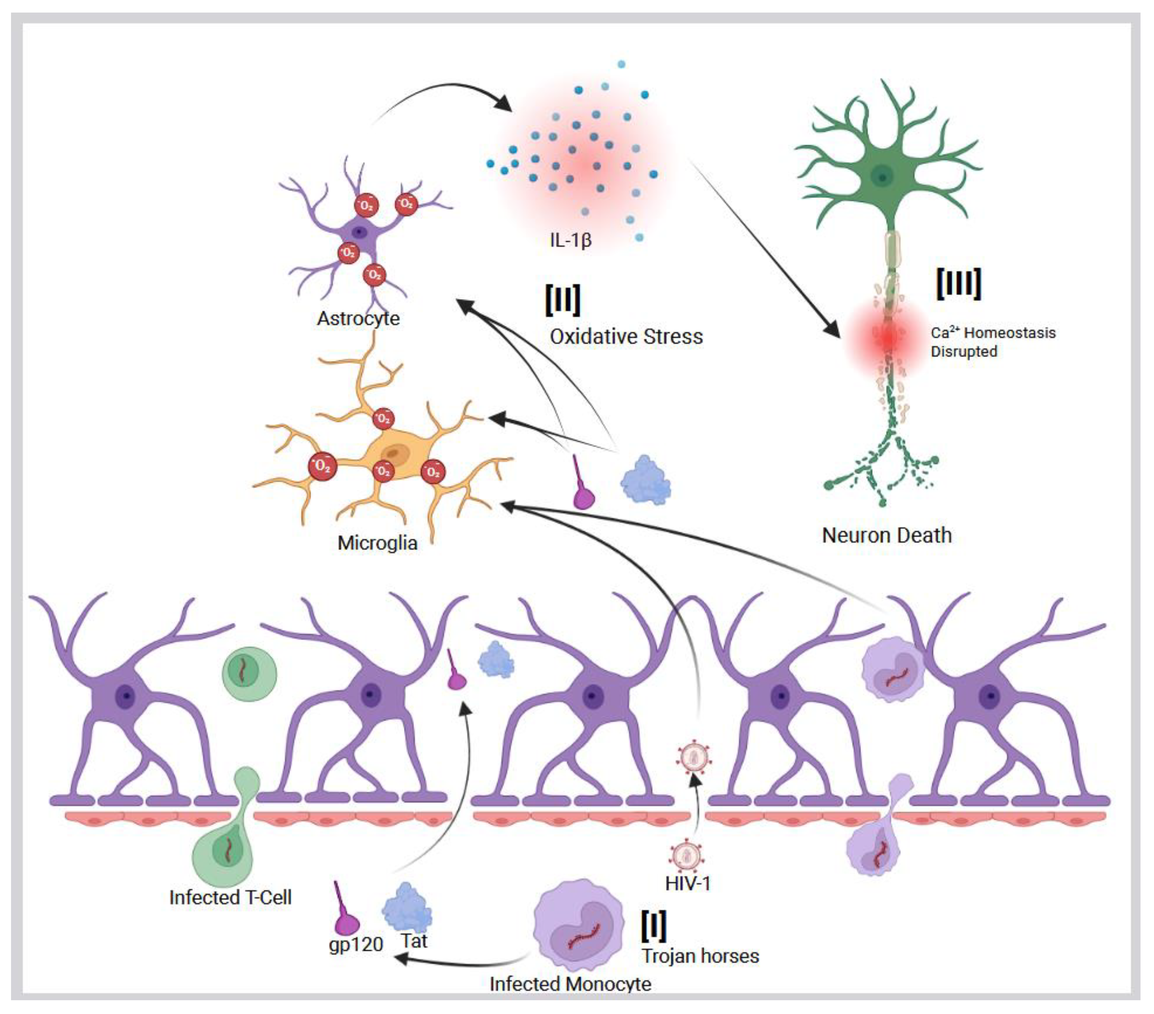 Preprints 163241 g001