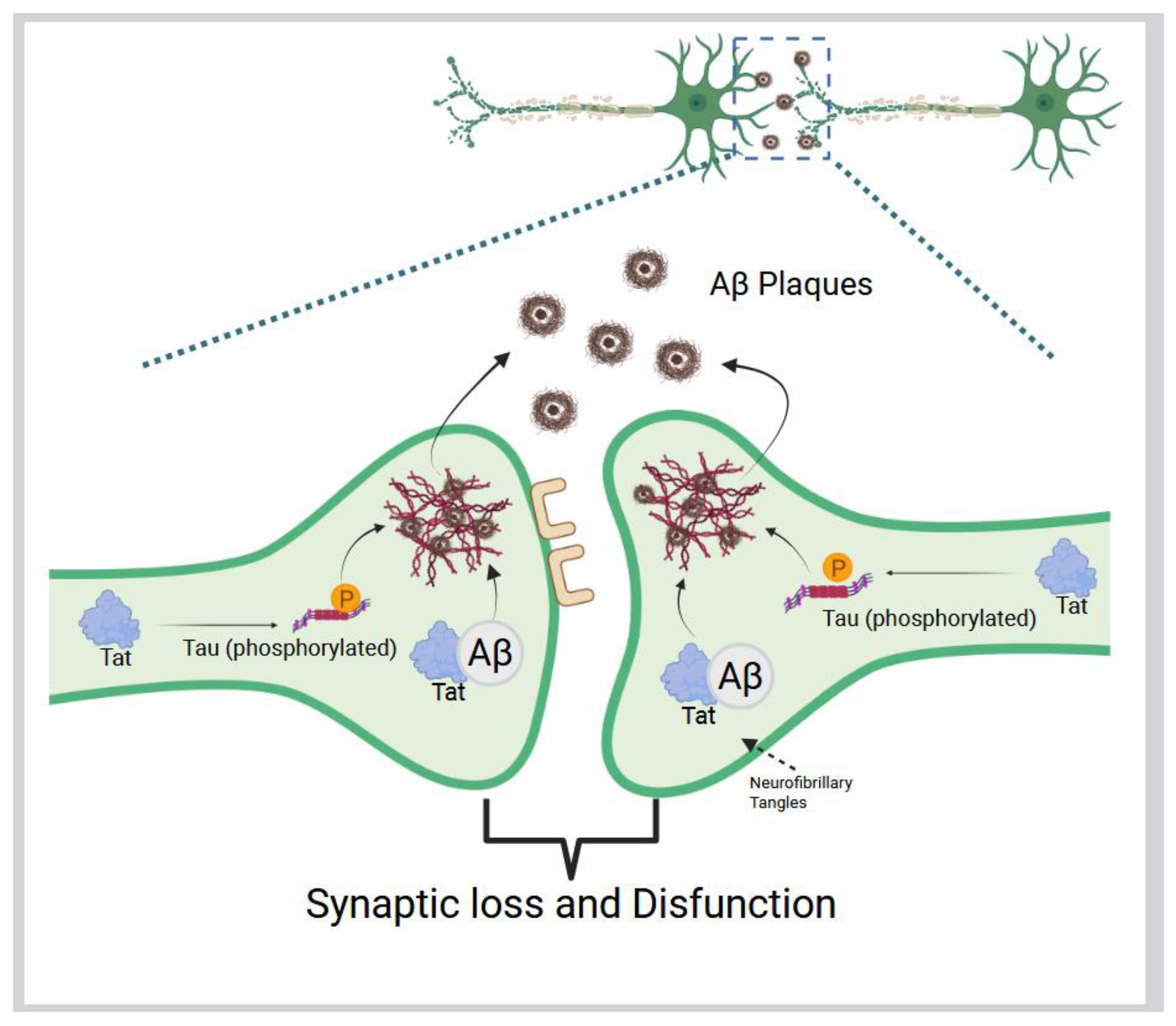 Preprints 163241 g002