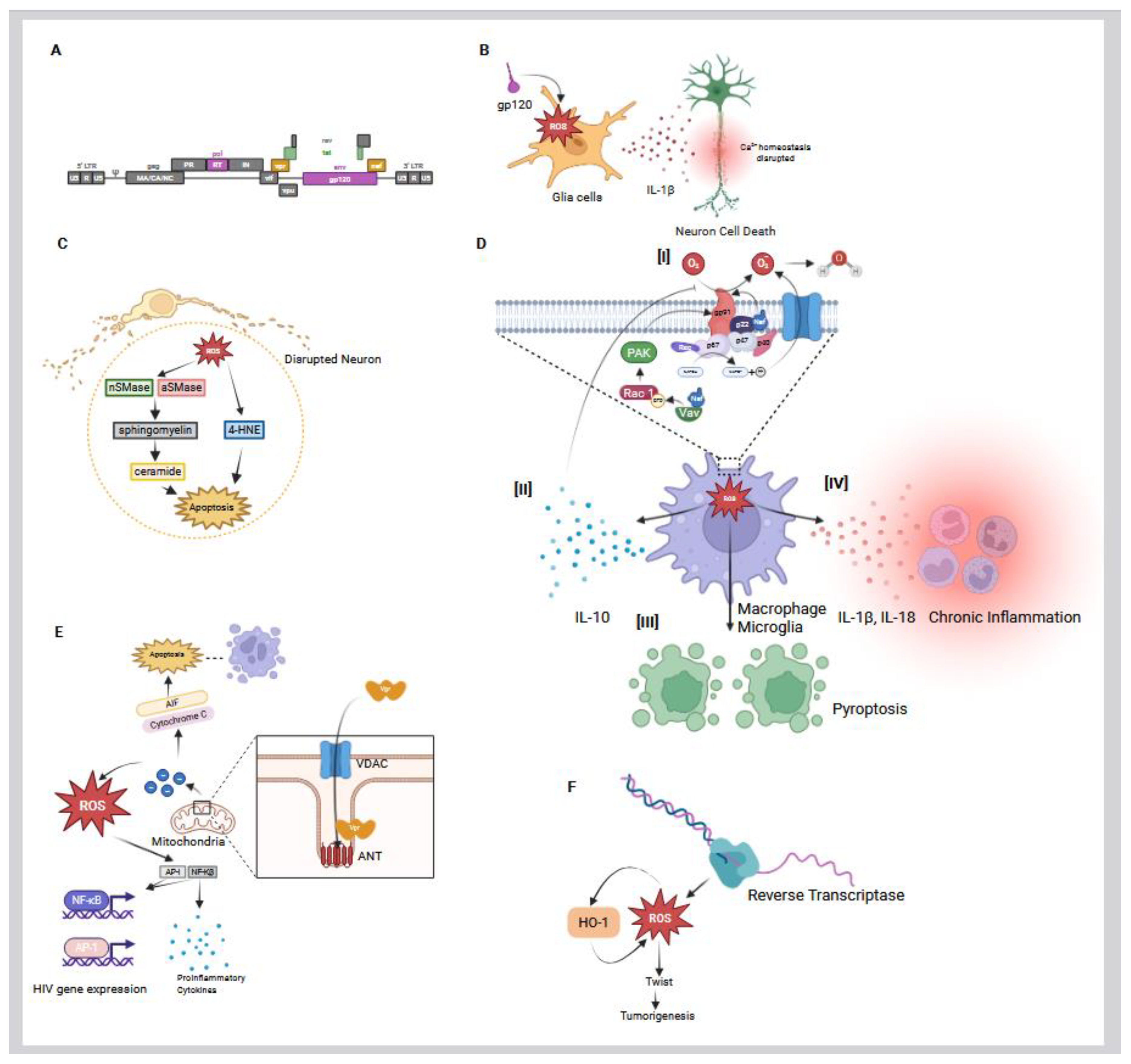 Preprints 163241 g003