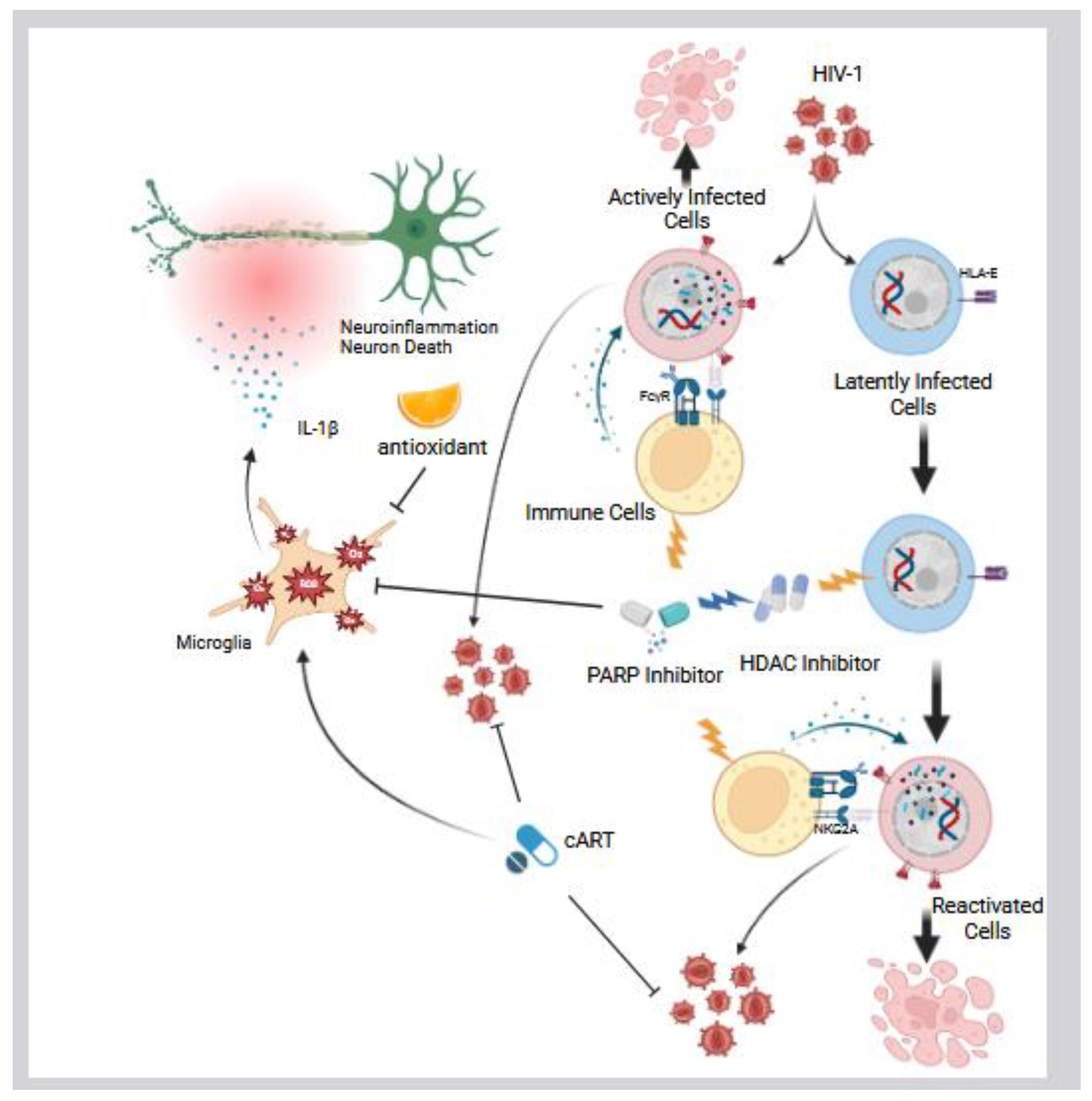Preprints 163241 g004