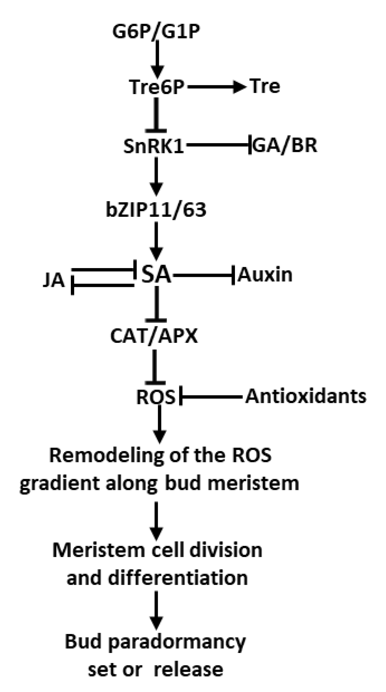 Preprints 138691 g008