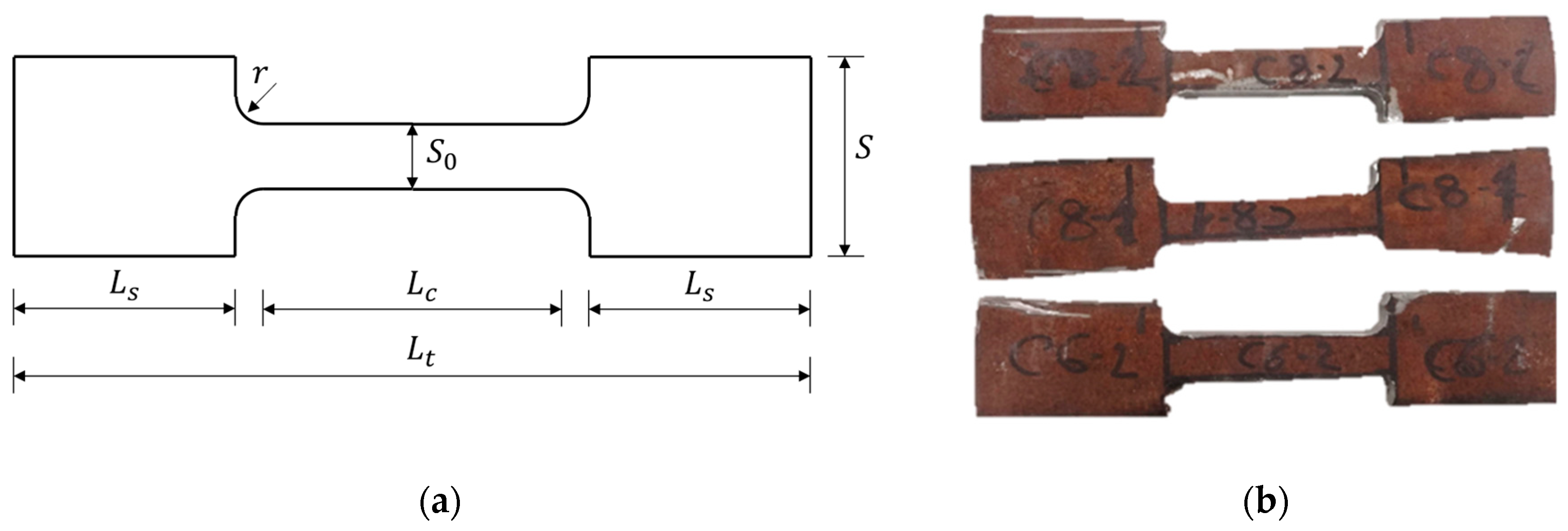 Preprints 166496 g001