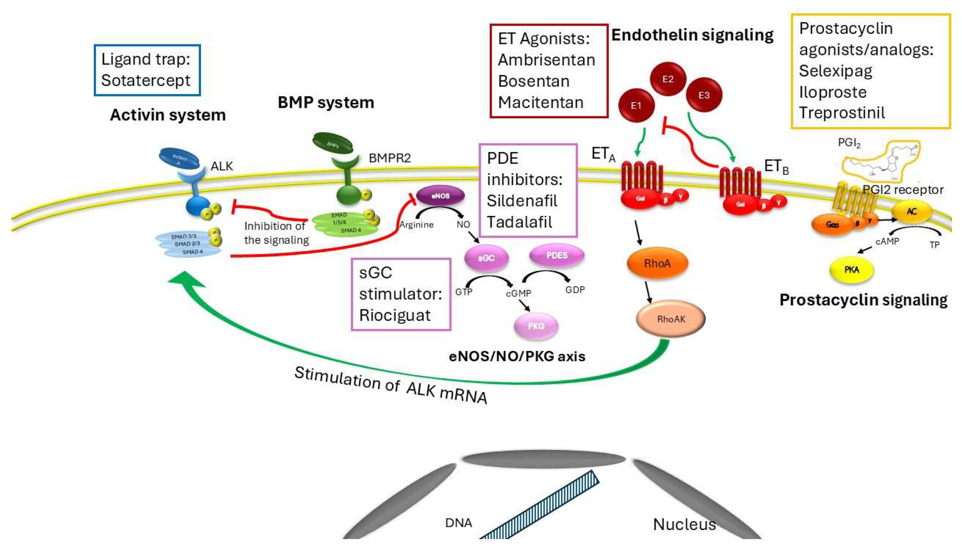 Preprints 155997 g001
