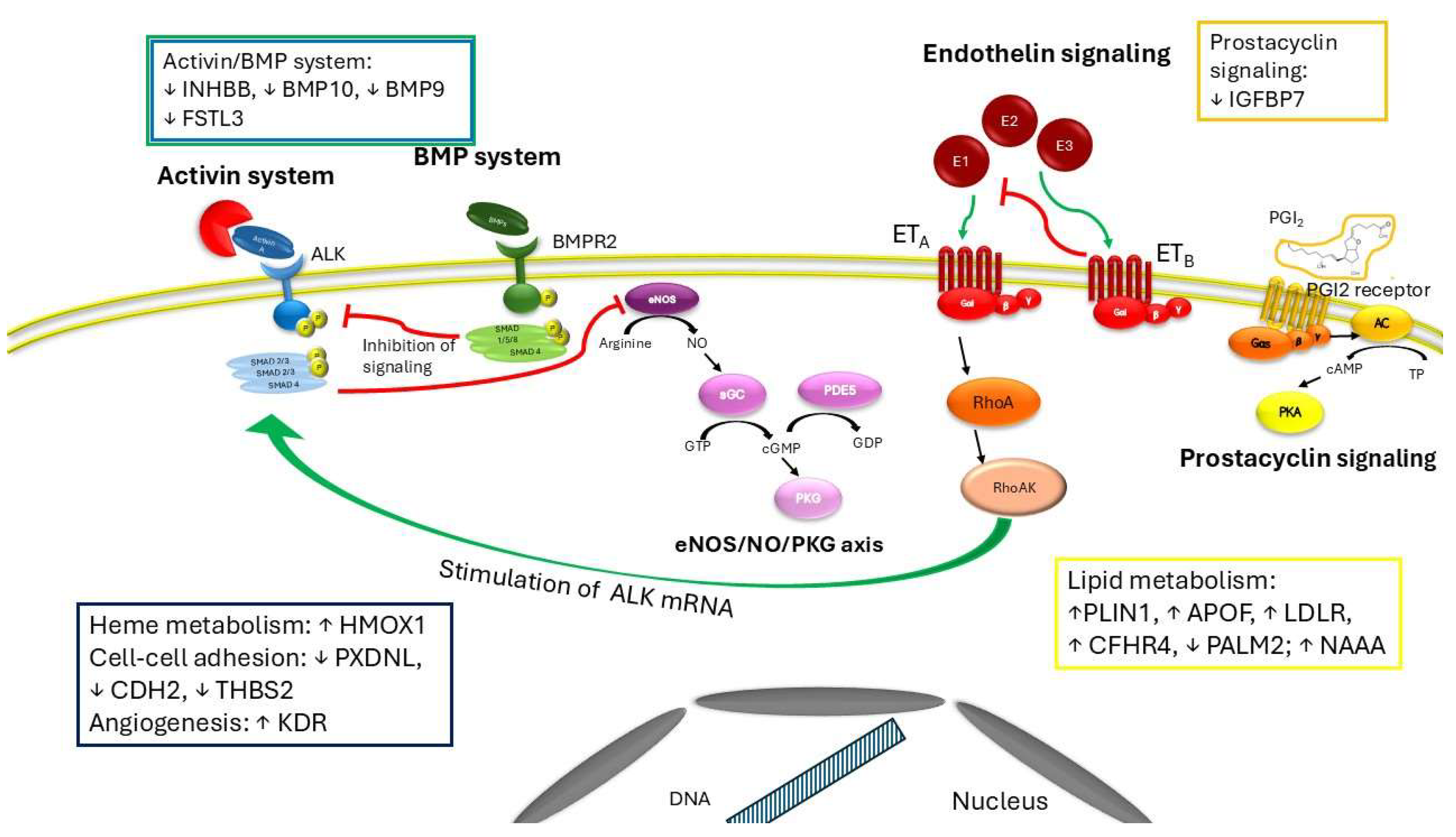 Preprints 155997 g002