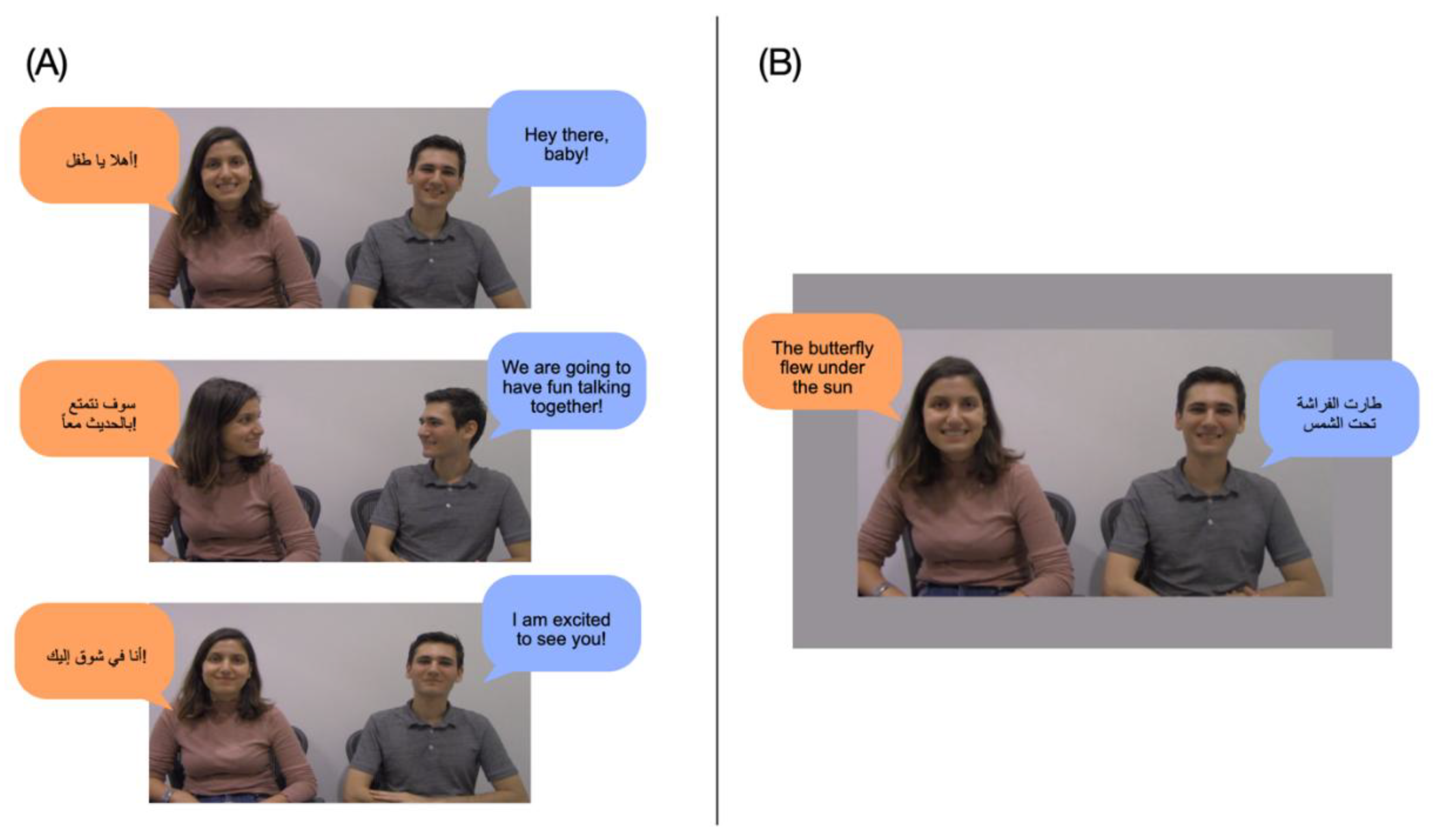 Preprints 171143 g002