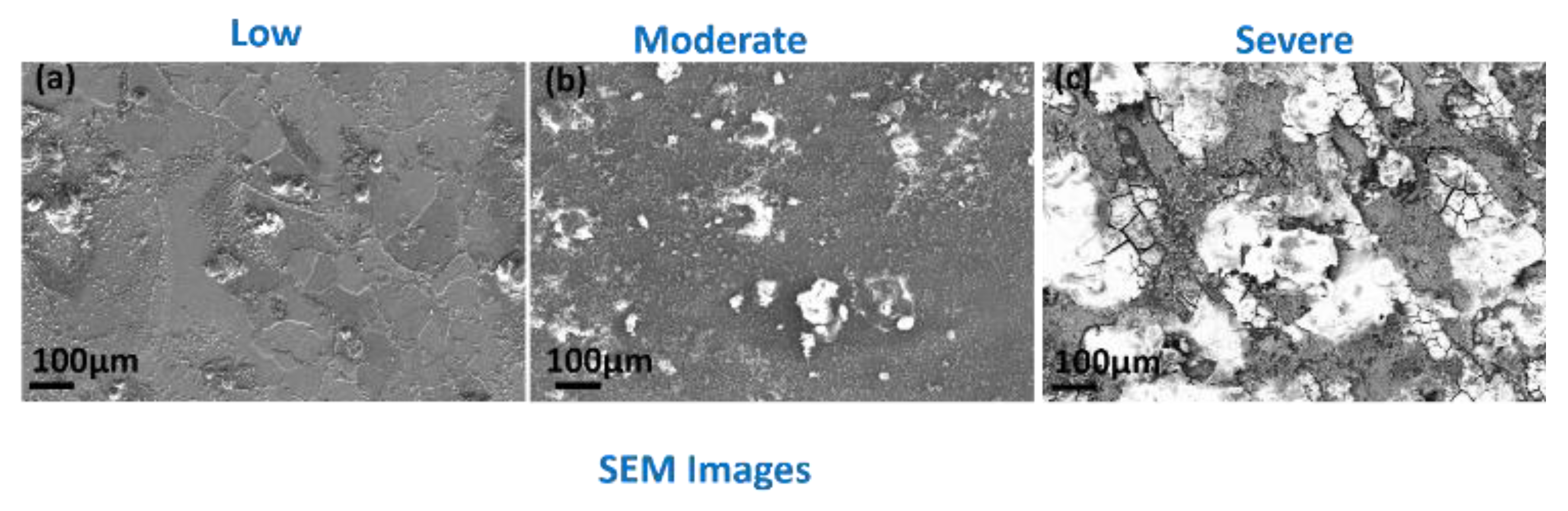 Preprints 195687 g003