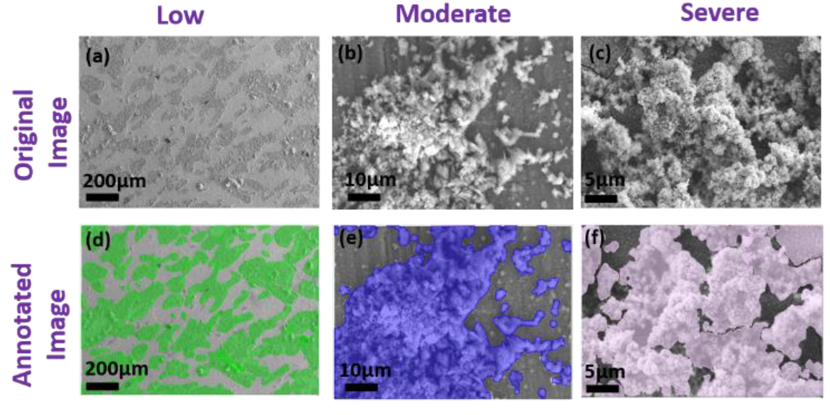 Preprints 195687 g004