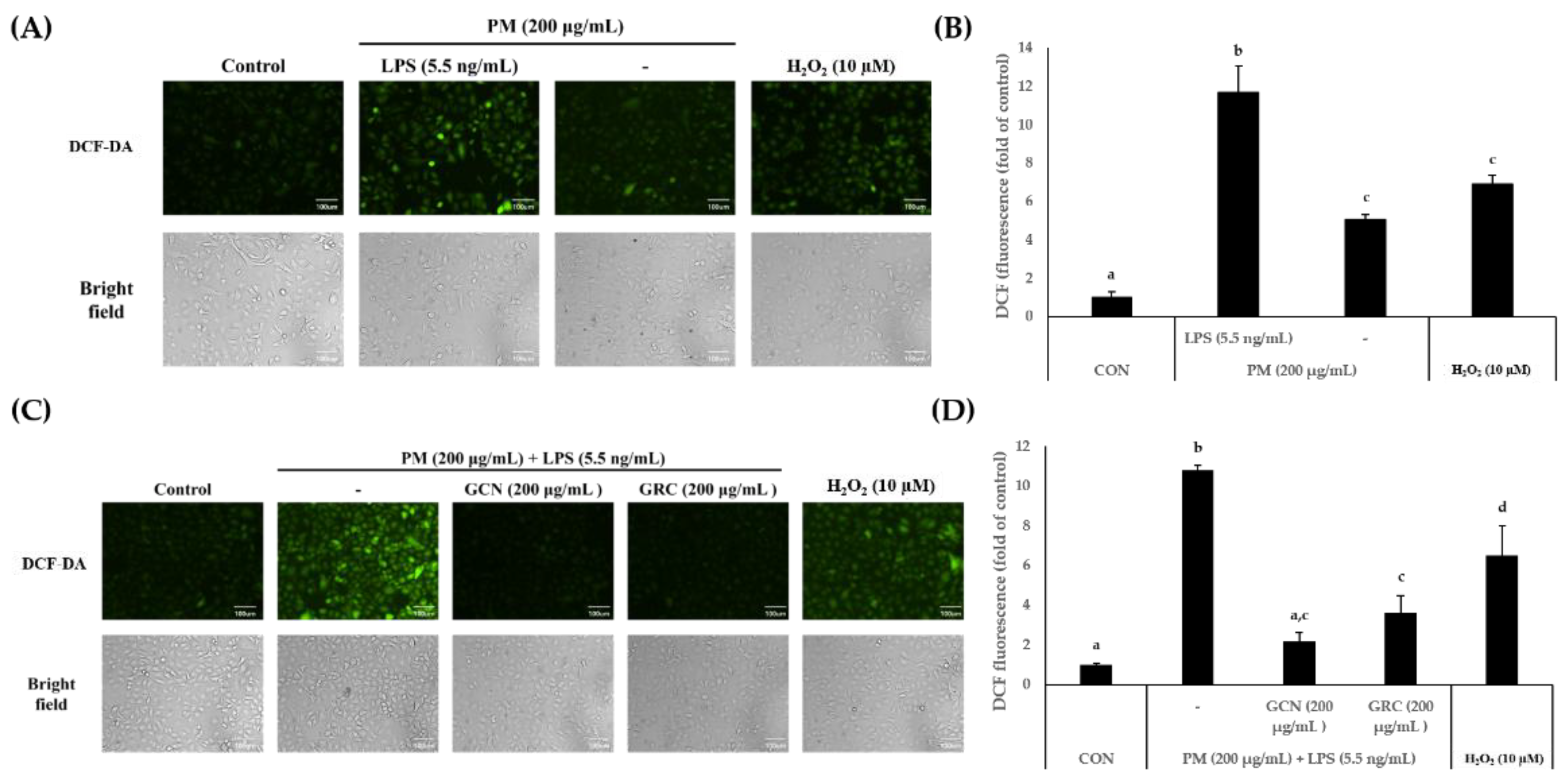 Preprints 209321 g003