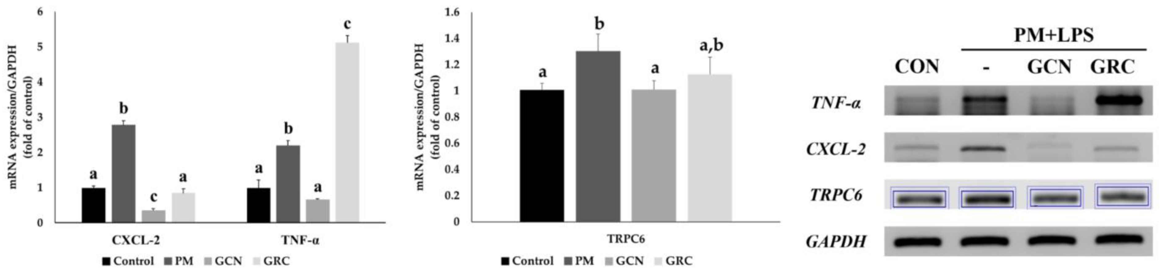 Preprints 209321 g005