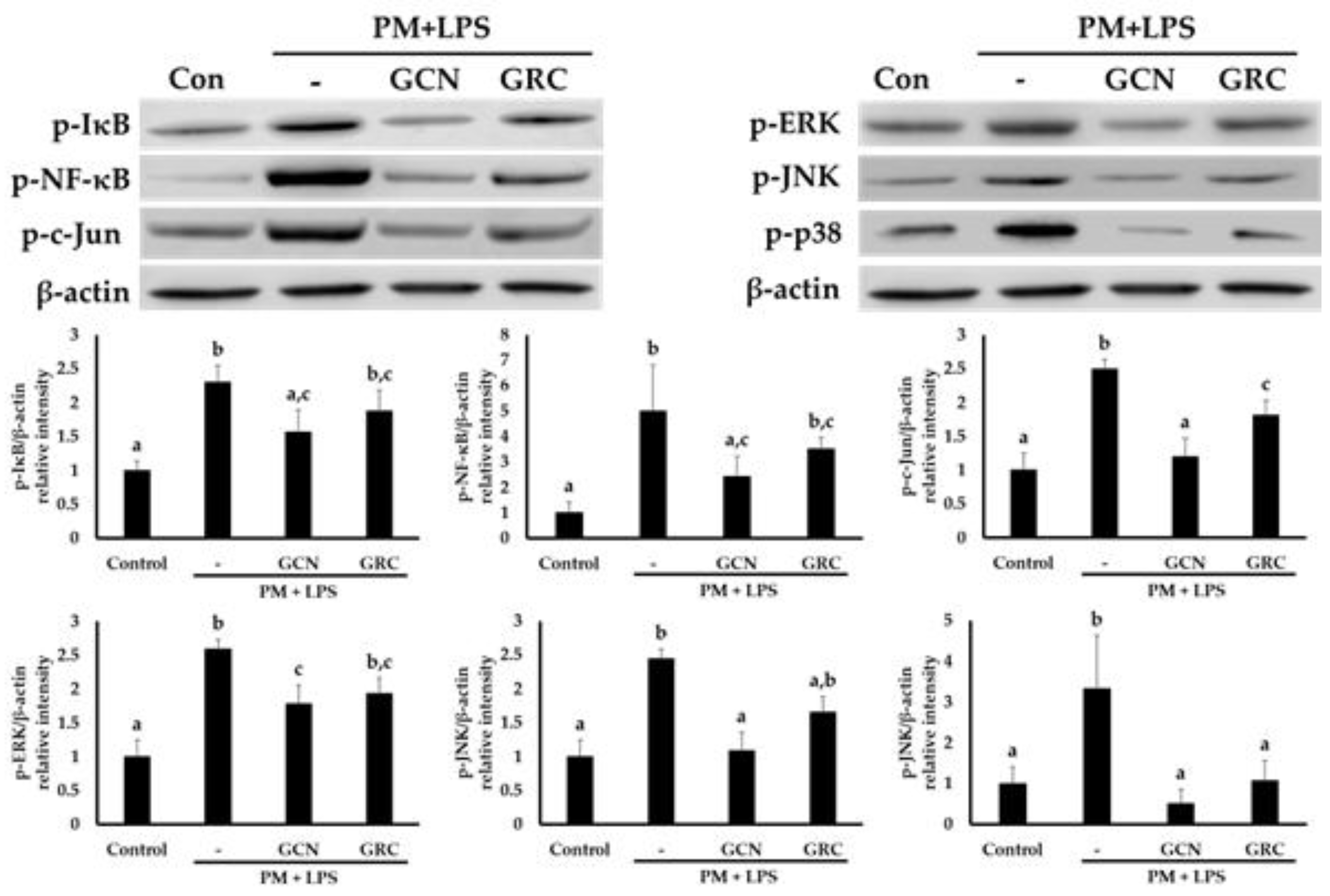 Preprints 209321 g006
