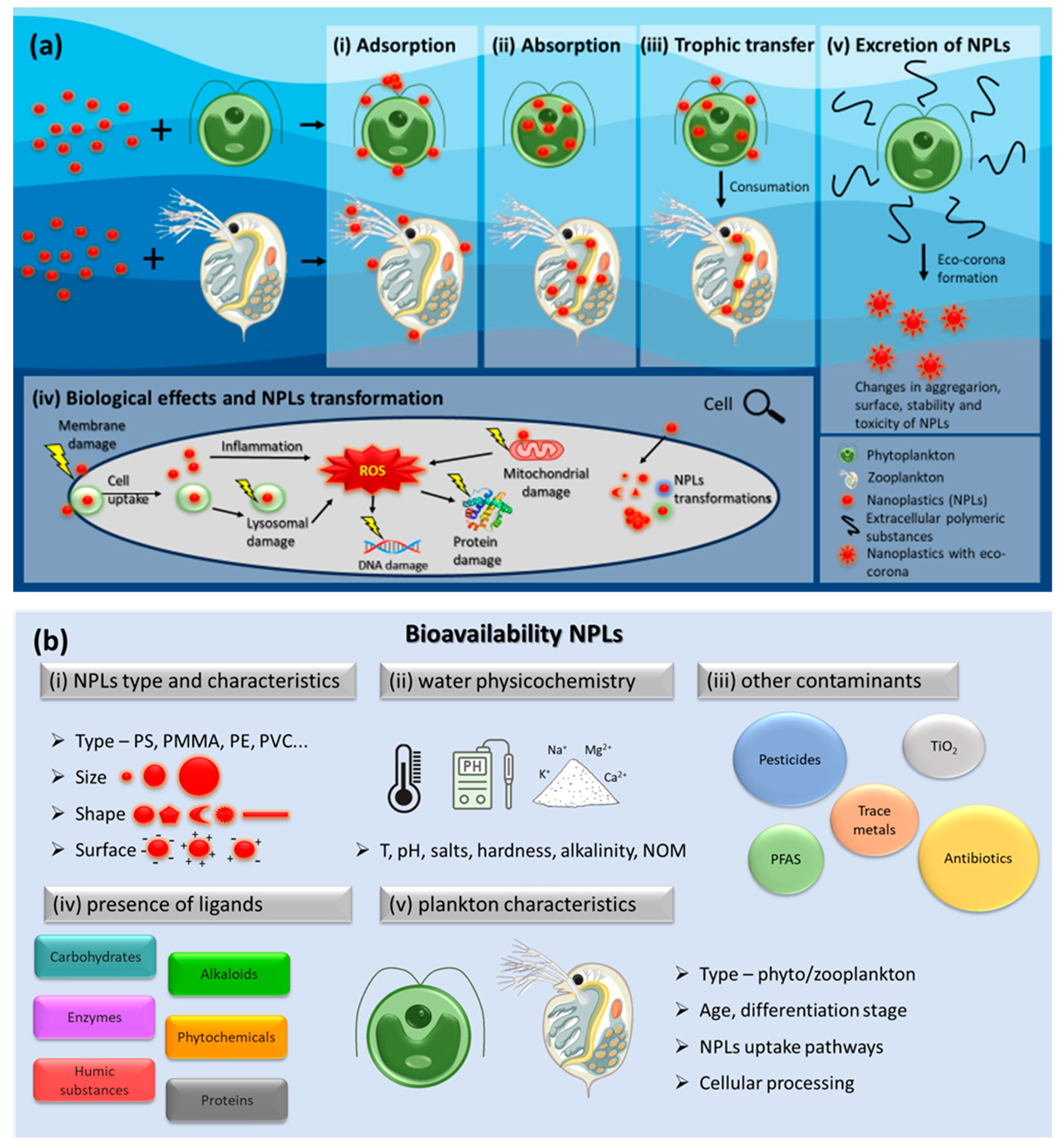 Preprints 89501 g001