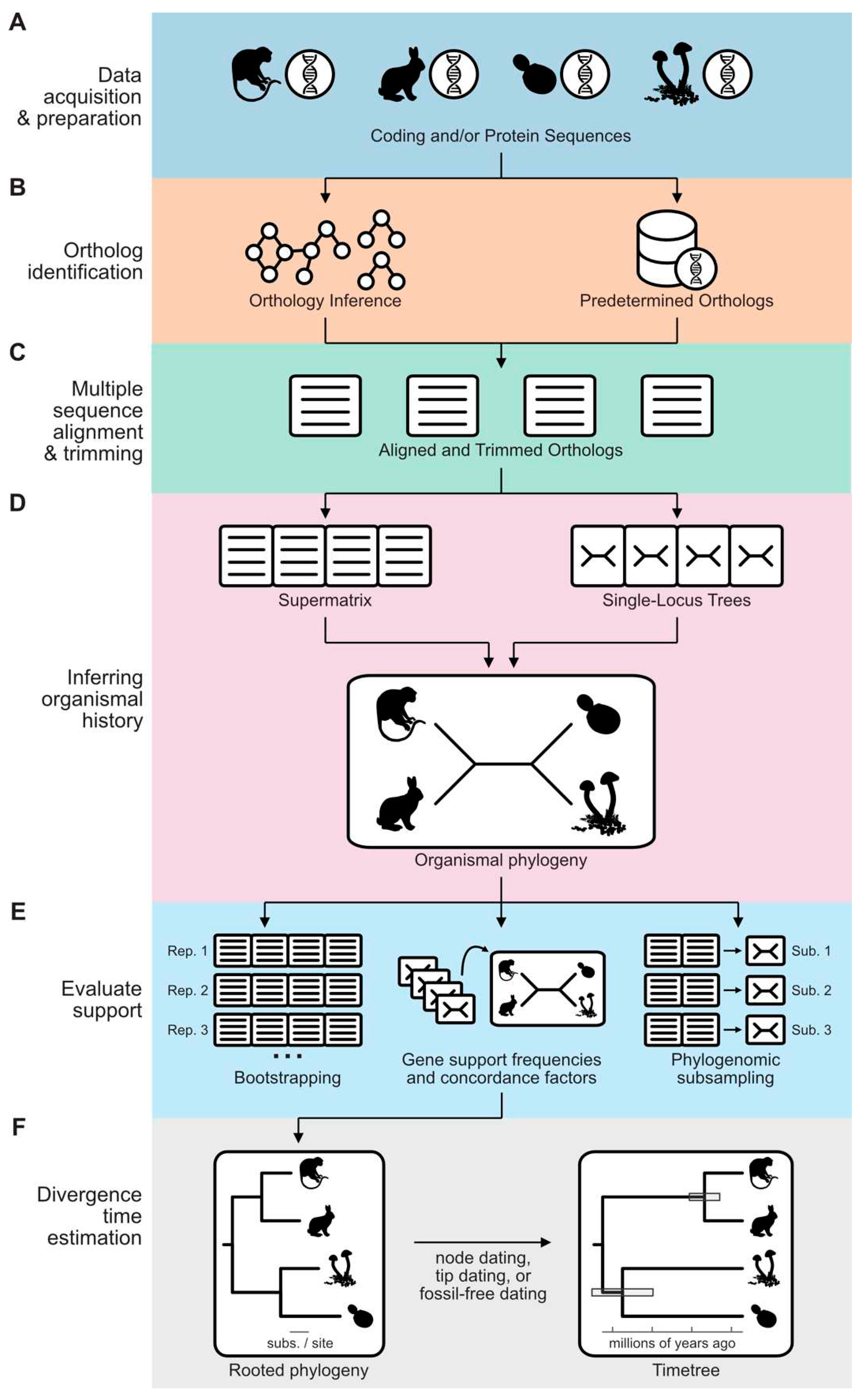 Preprints 84976 g001