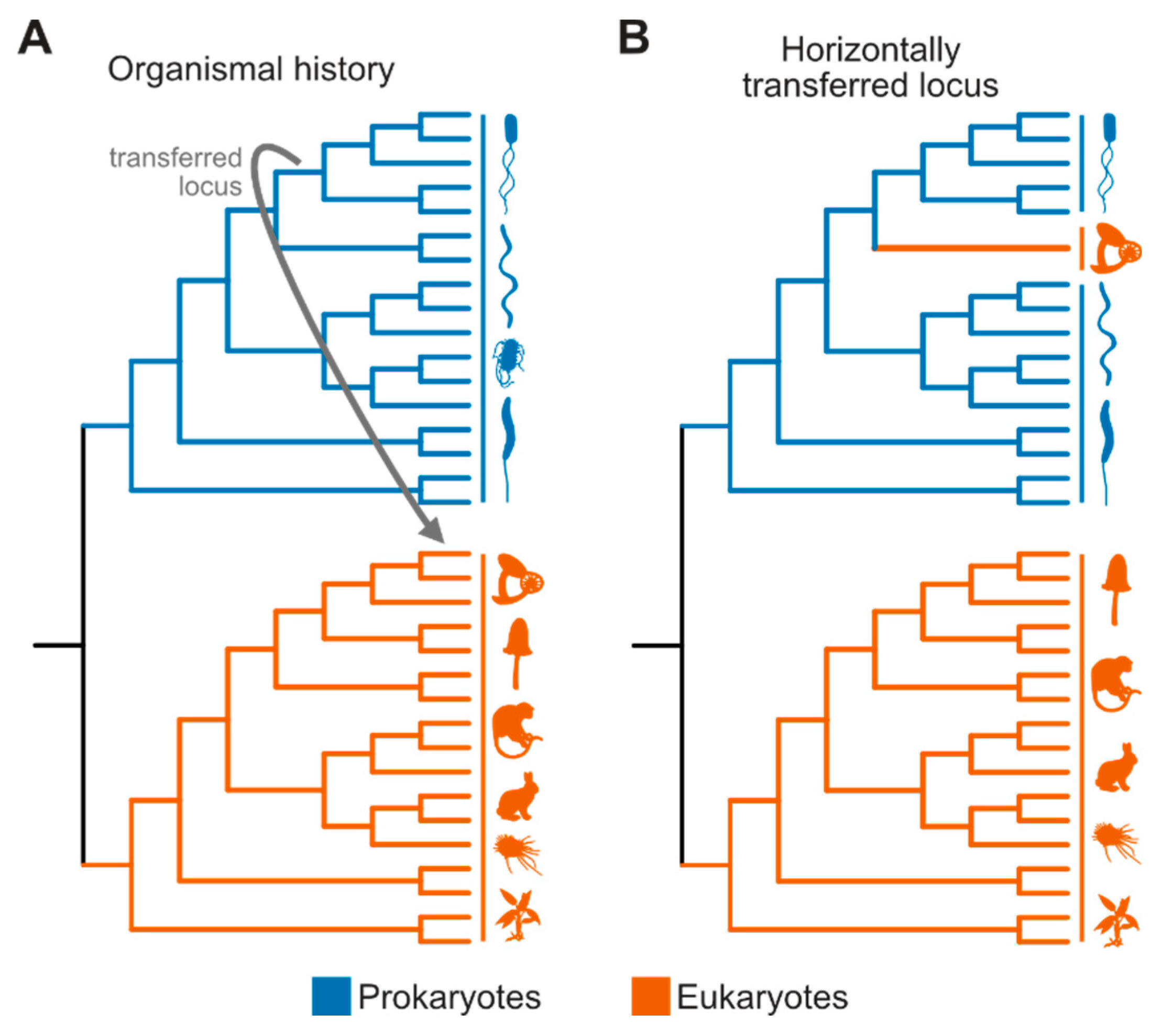 Preprints 84976 g003
