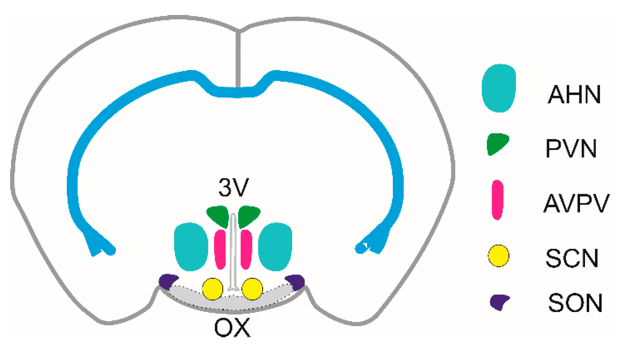 Preprints 156799 g001