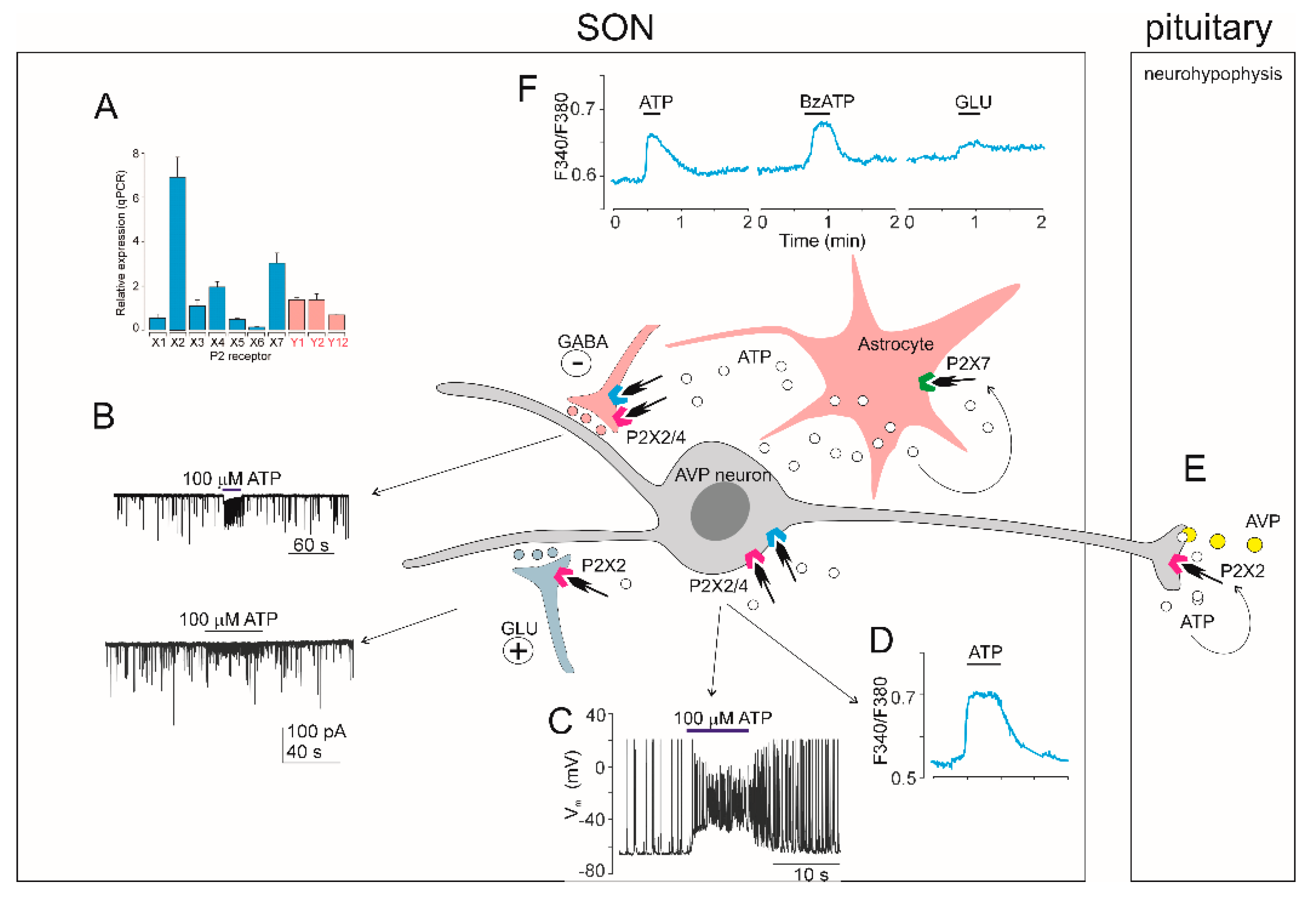 Preprints 156799 g002