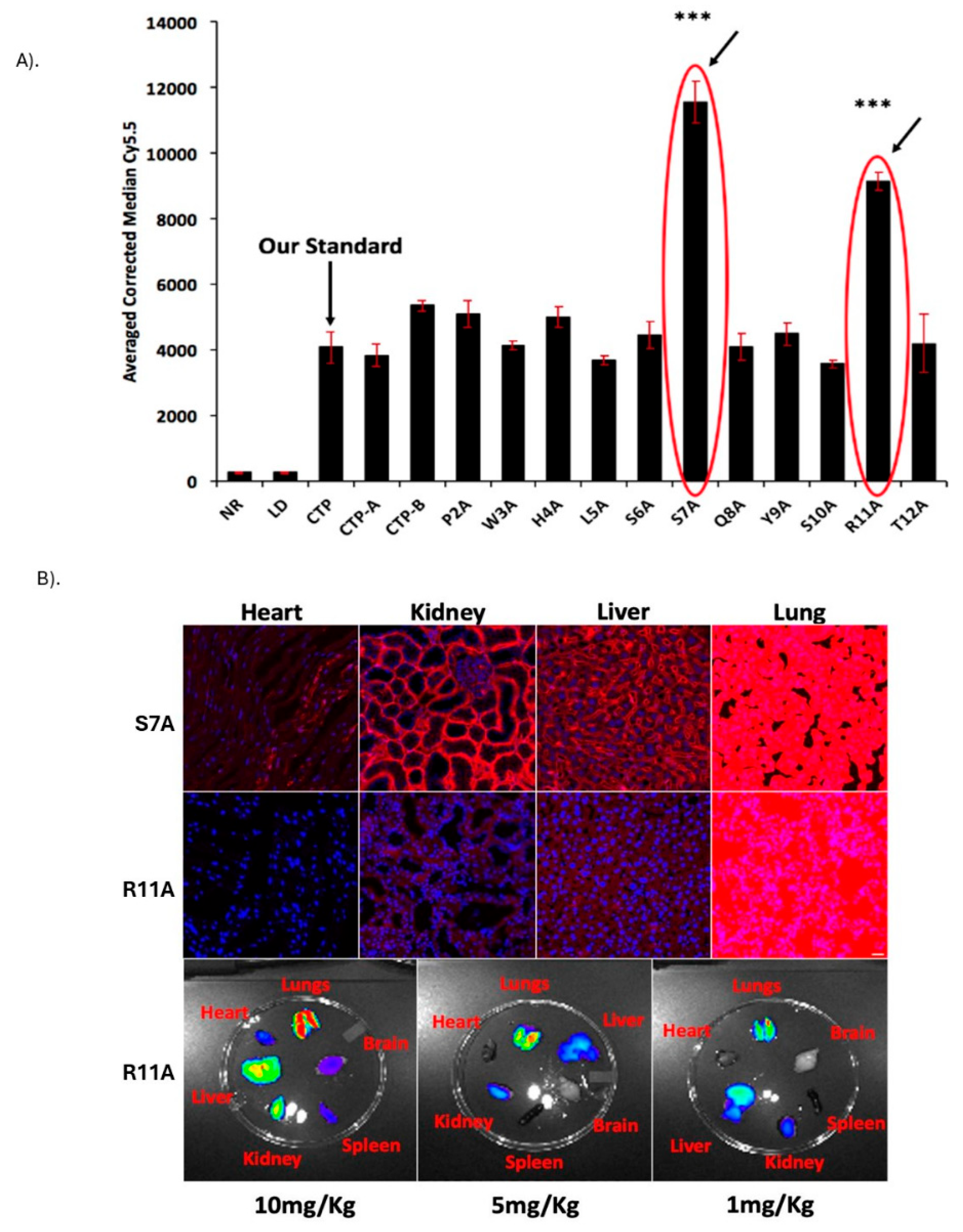 Preprints 162682 g001