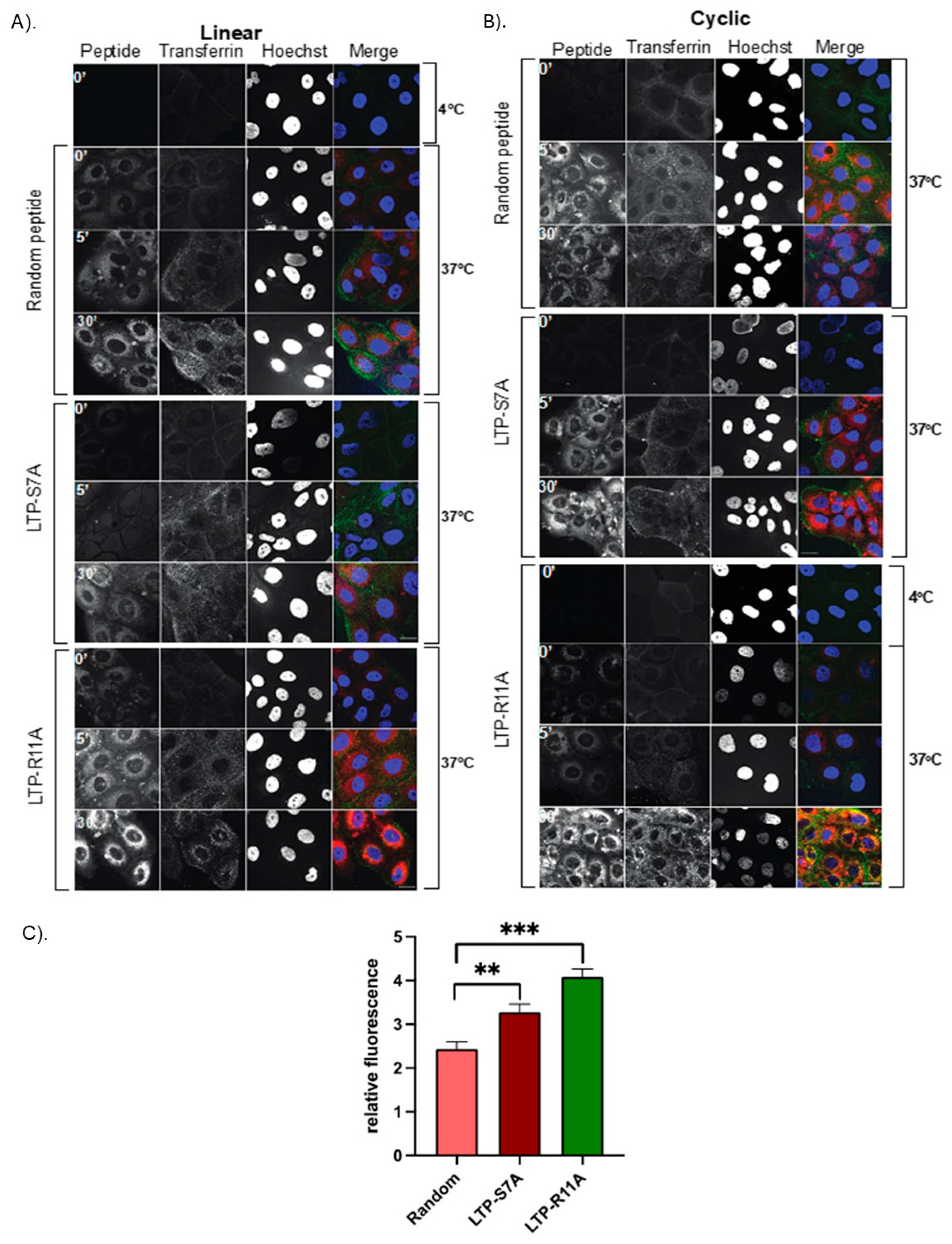 Preprints 162682 g005