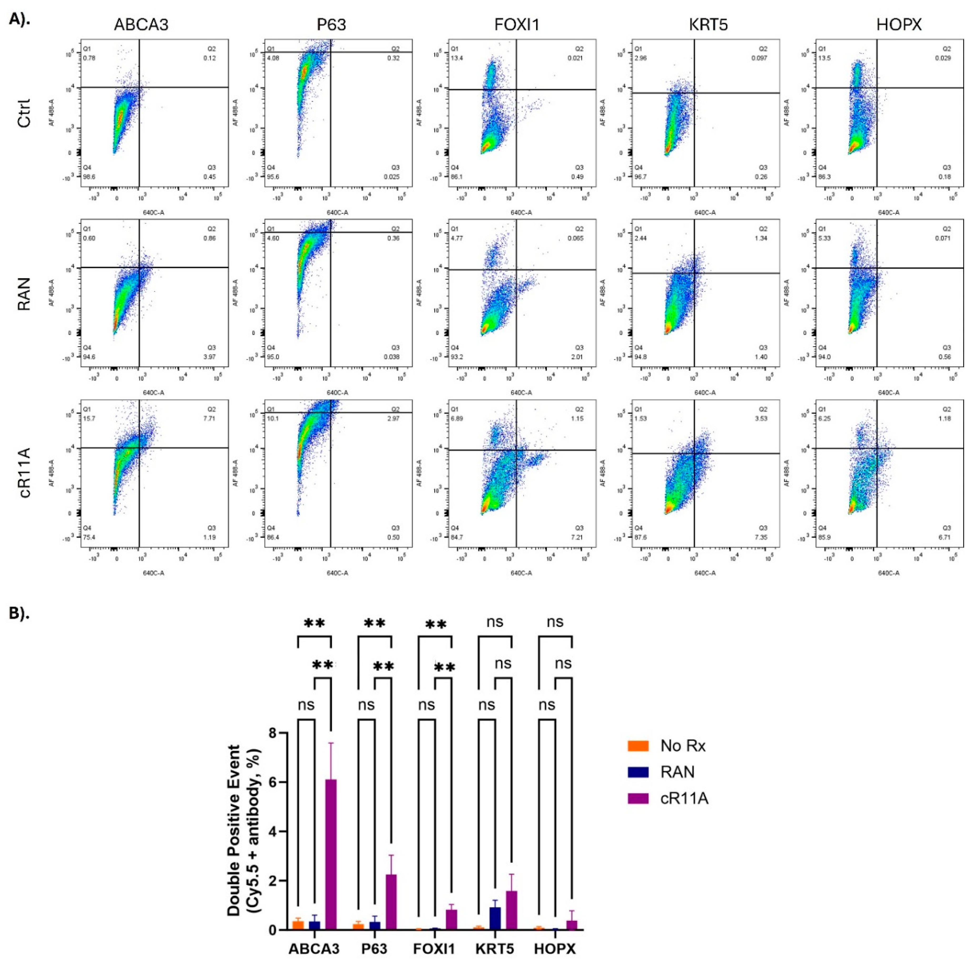 Preprints 162682 g006