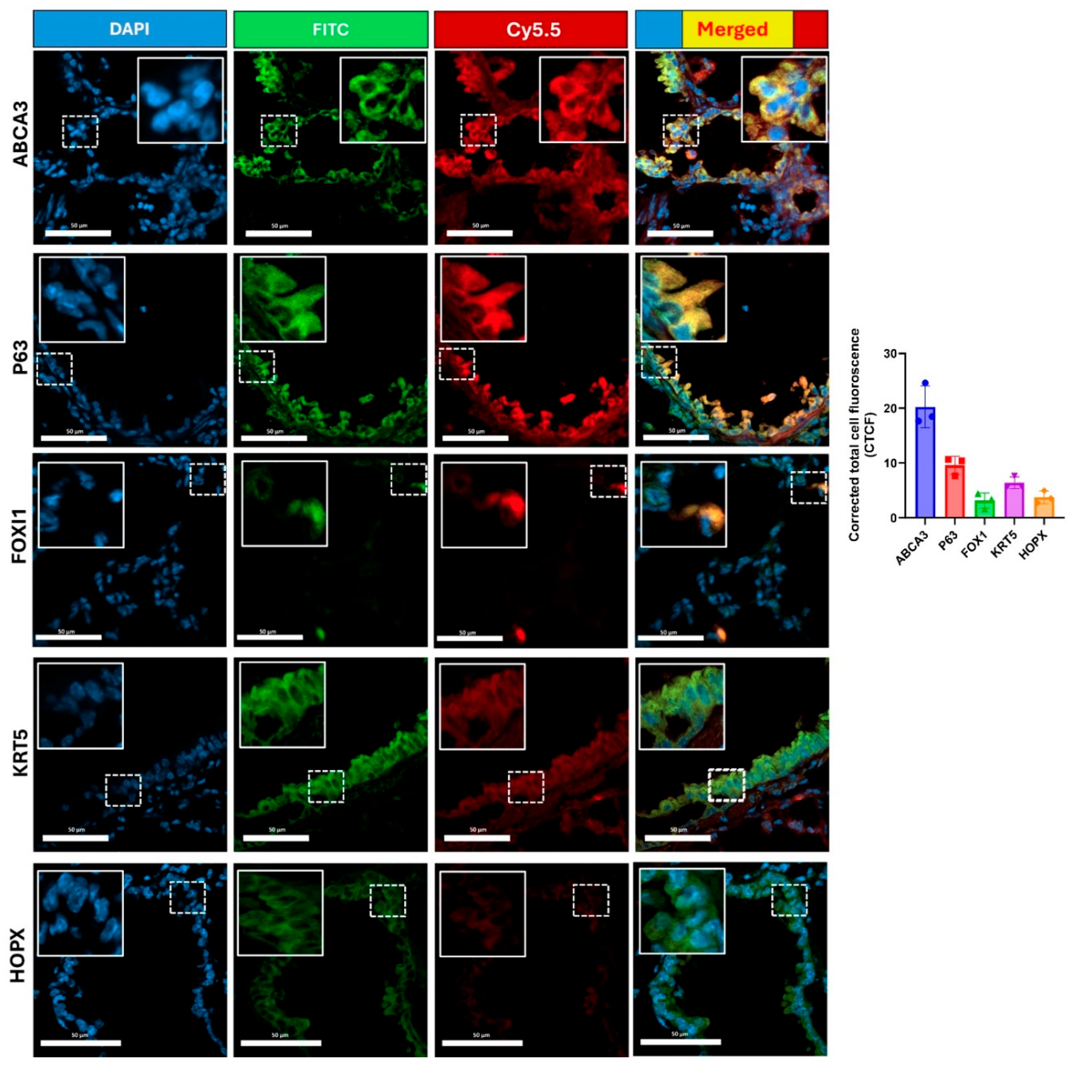 Preprints 162682 g007