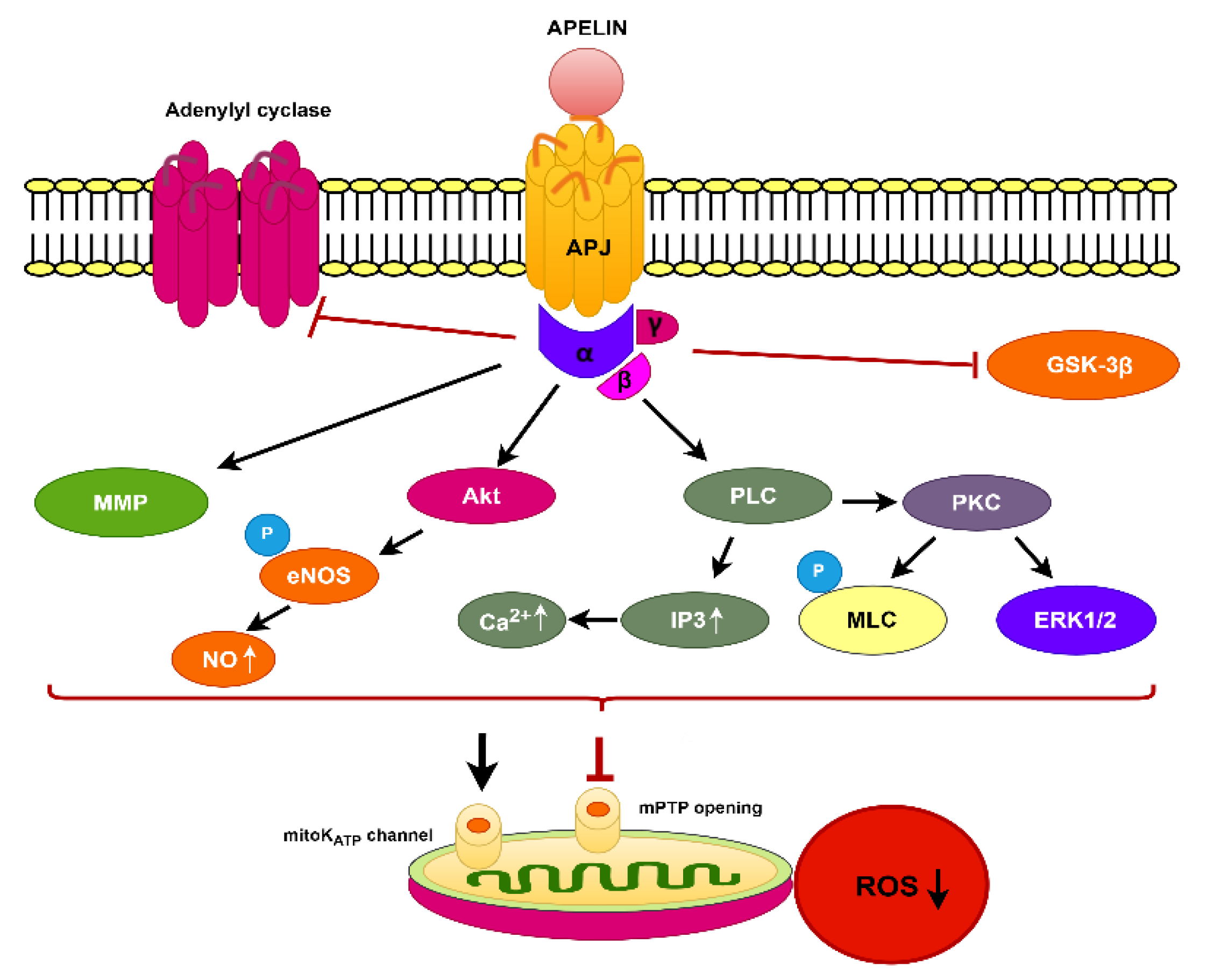 Preprints 190411 g001