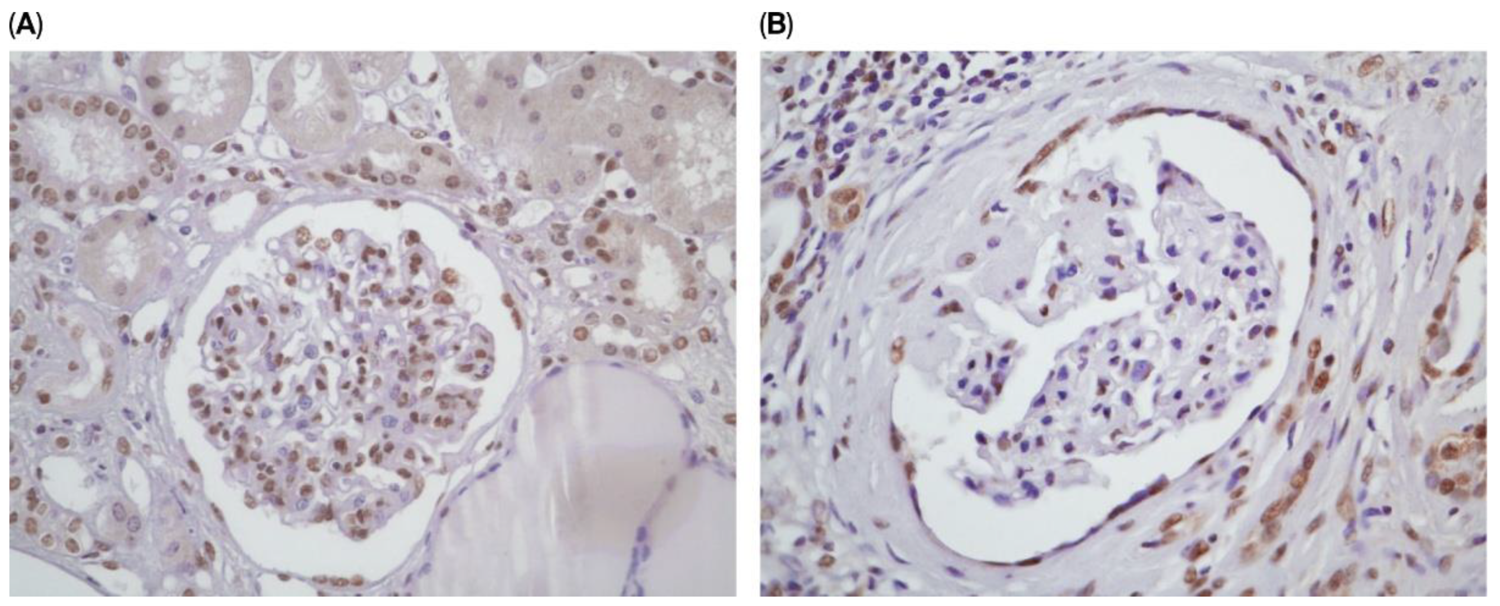 Preprints 192226 g001