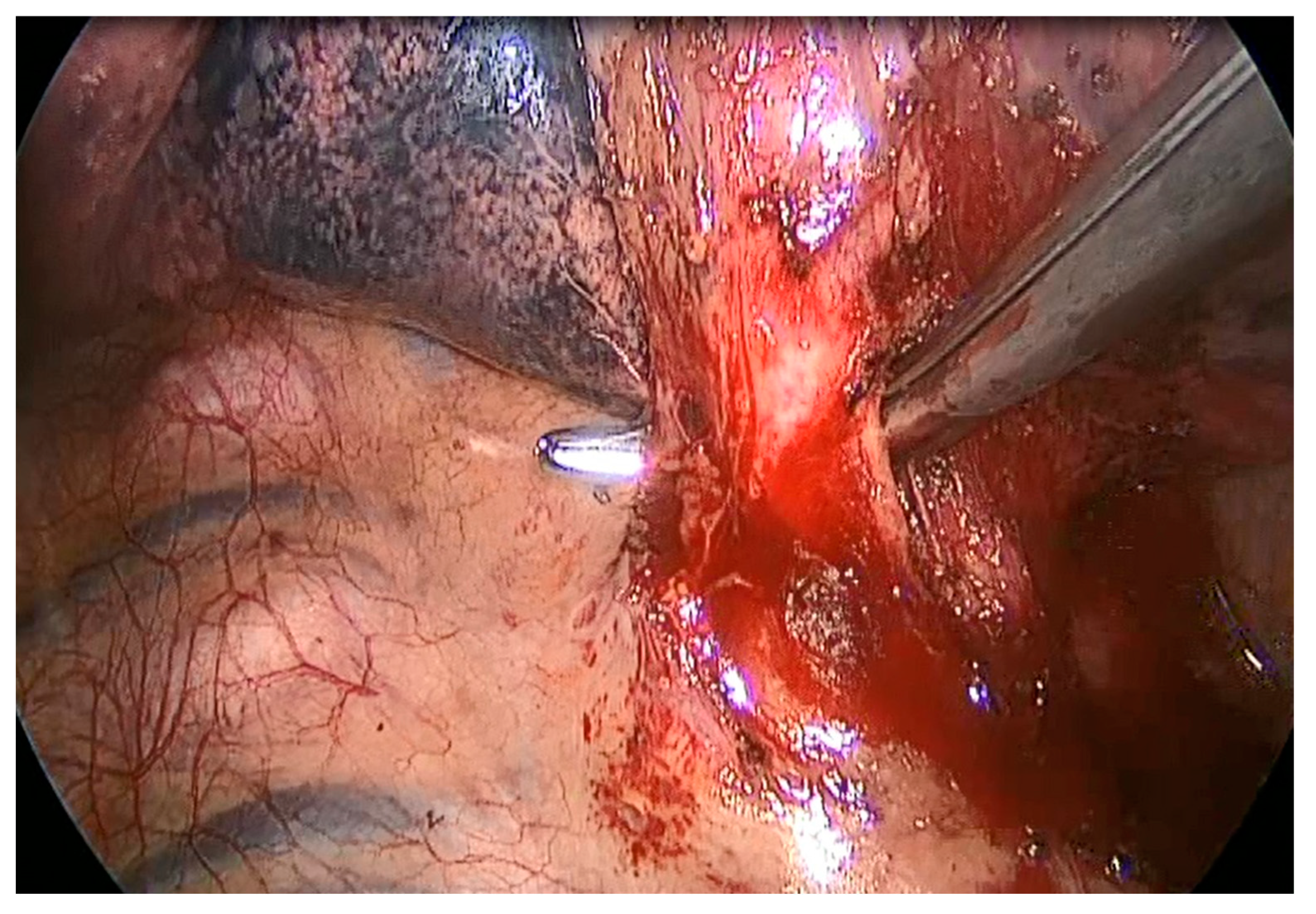 Preprints 78850 g002