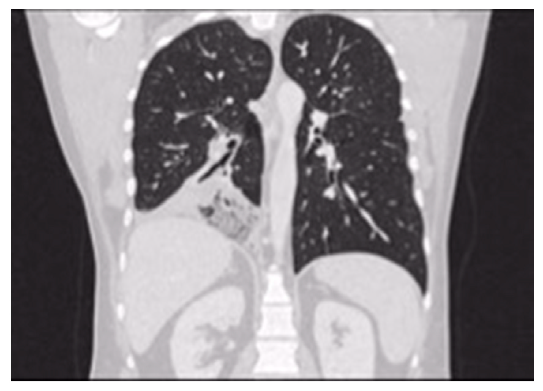 Preprints 78850 g003