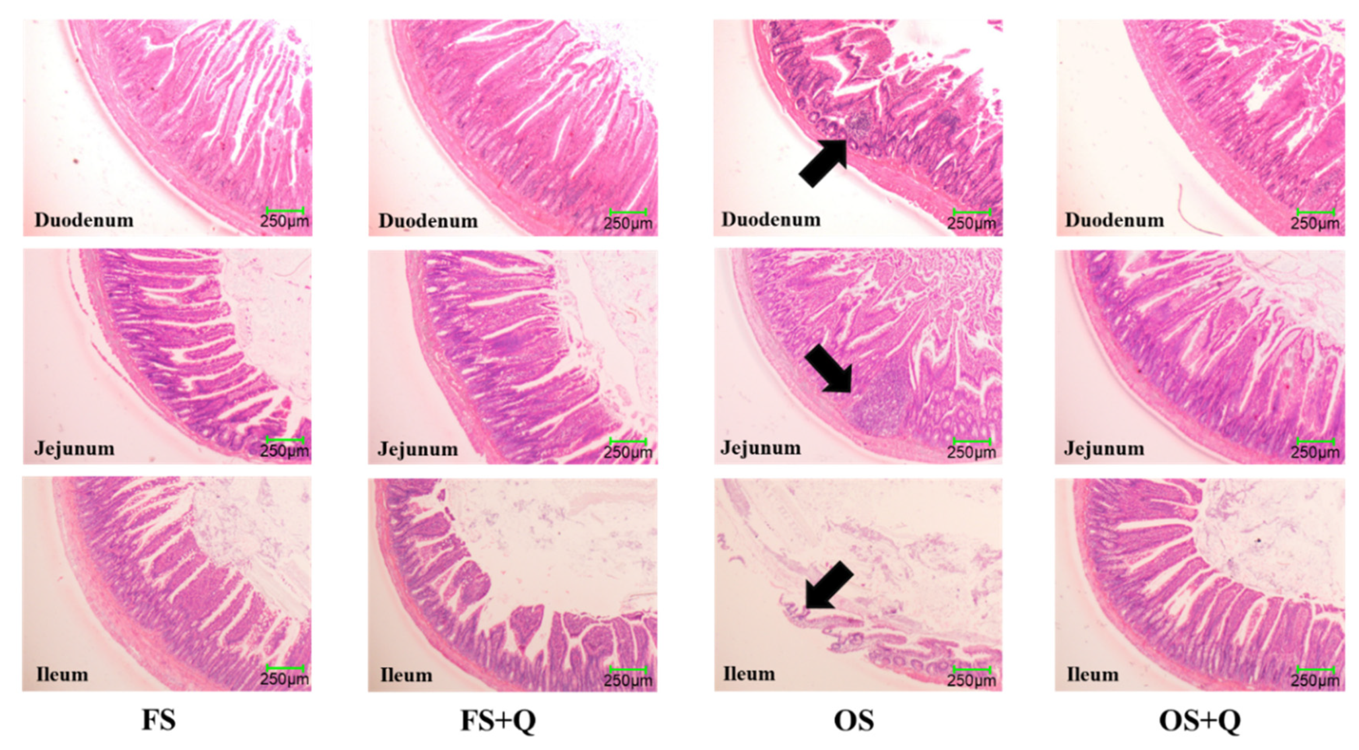 Preprints 201265 g001