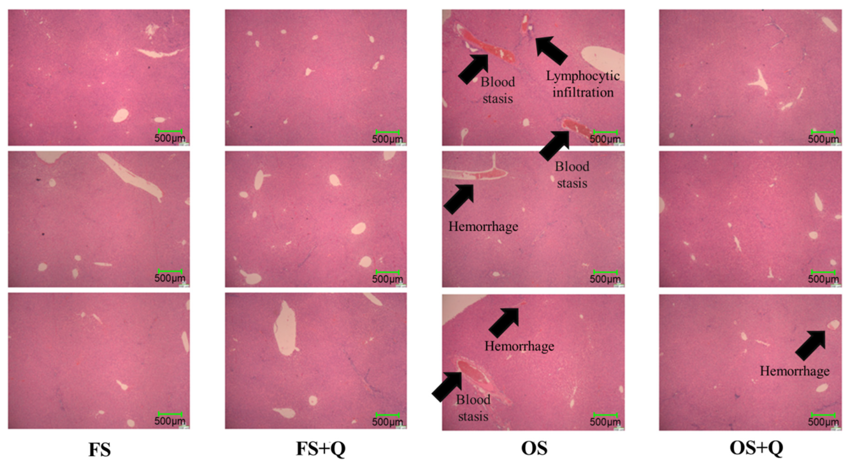 Preprints 201265 g002