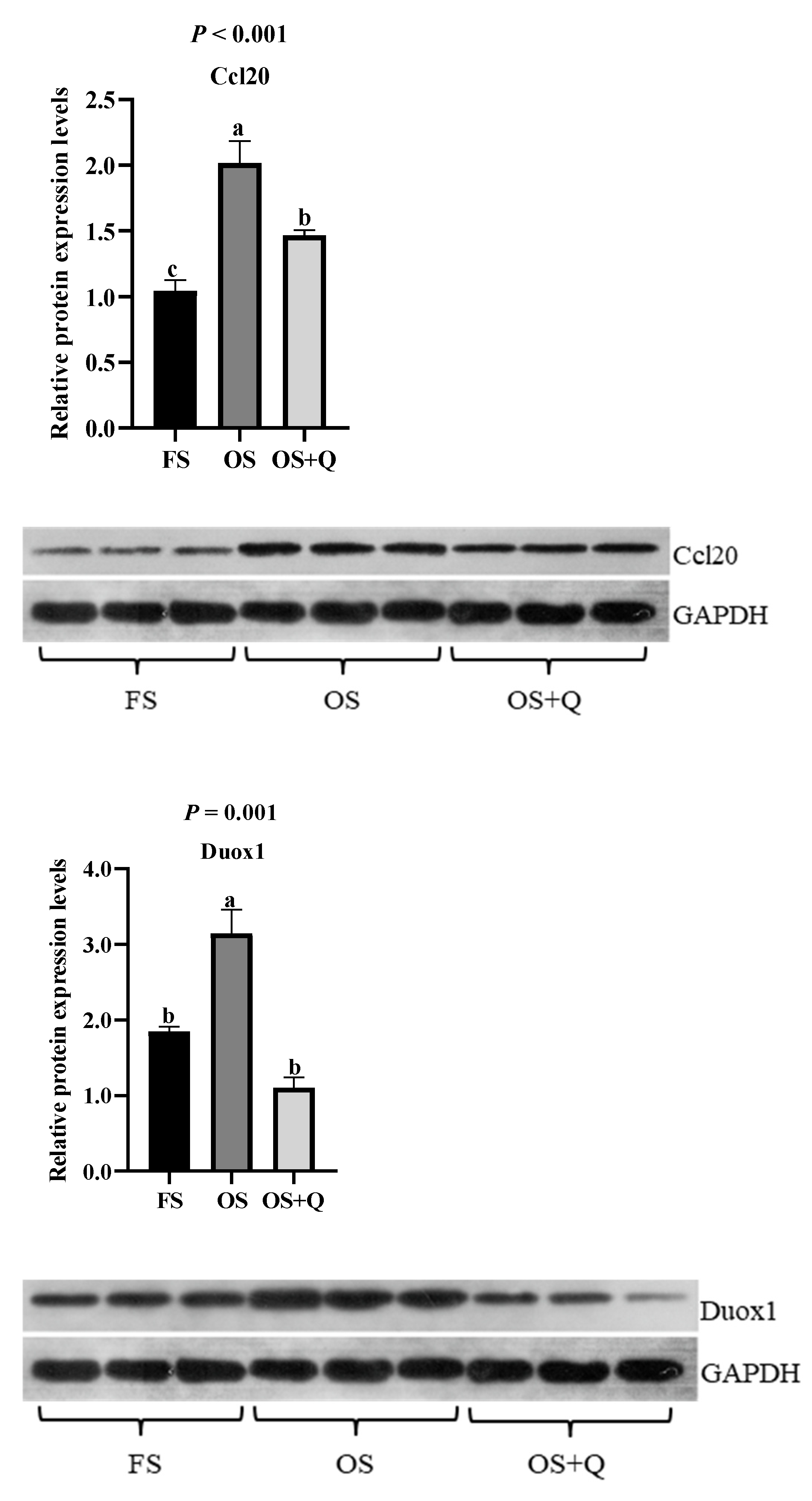Preprints 201265 g008
