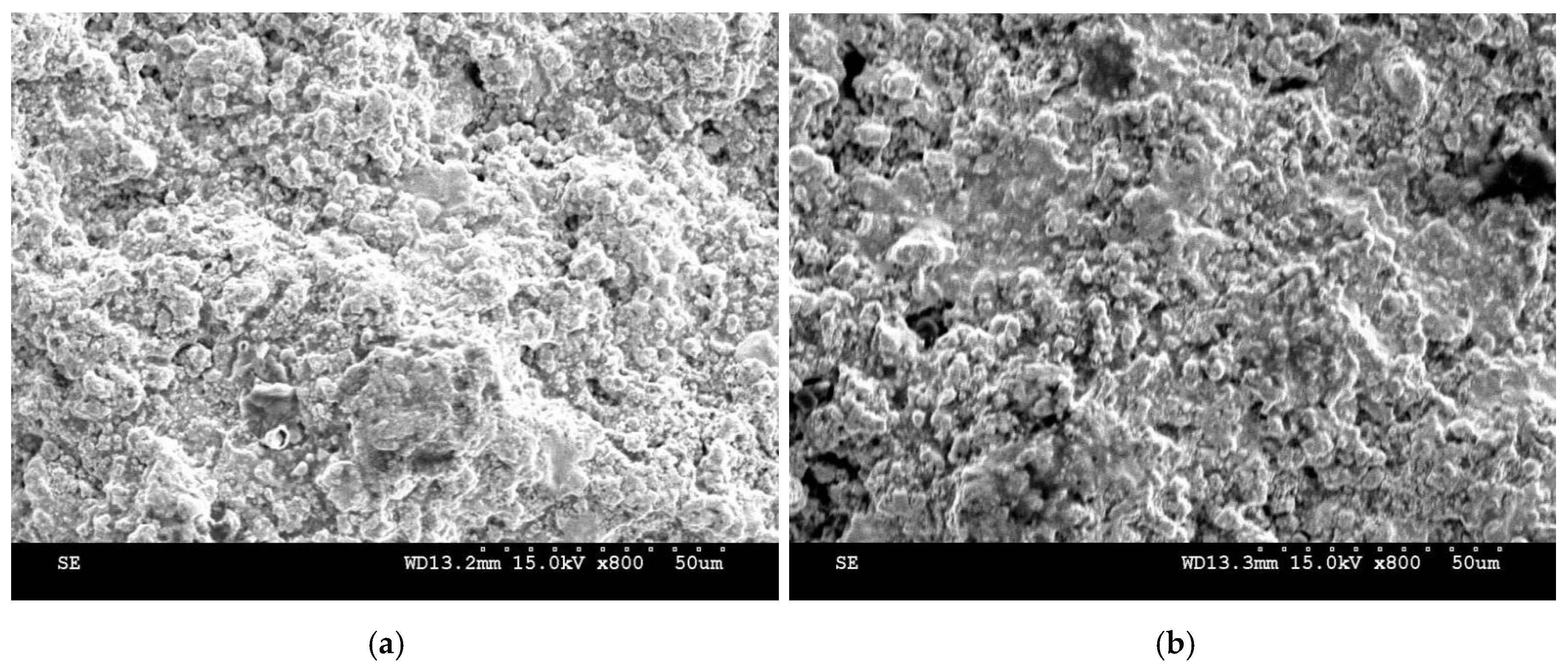 Preprints 208108 g003a Preprints 208108 g003a