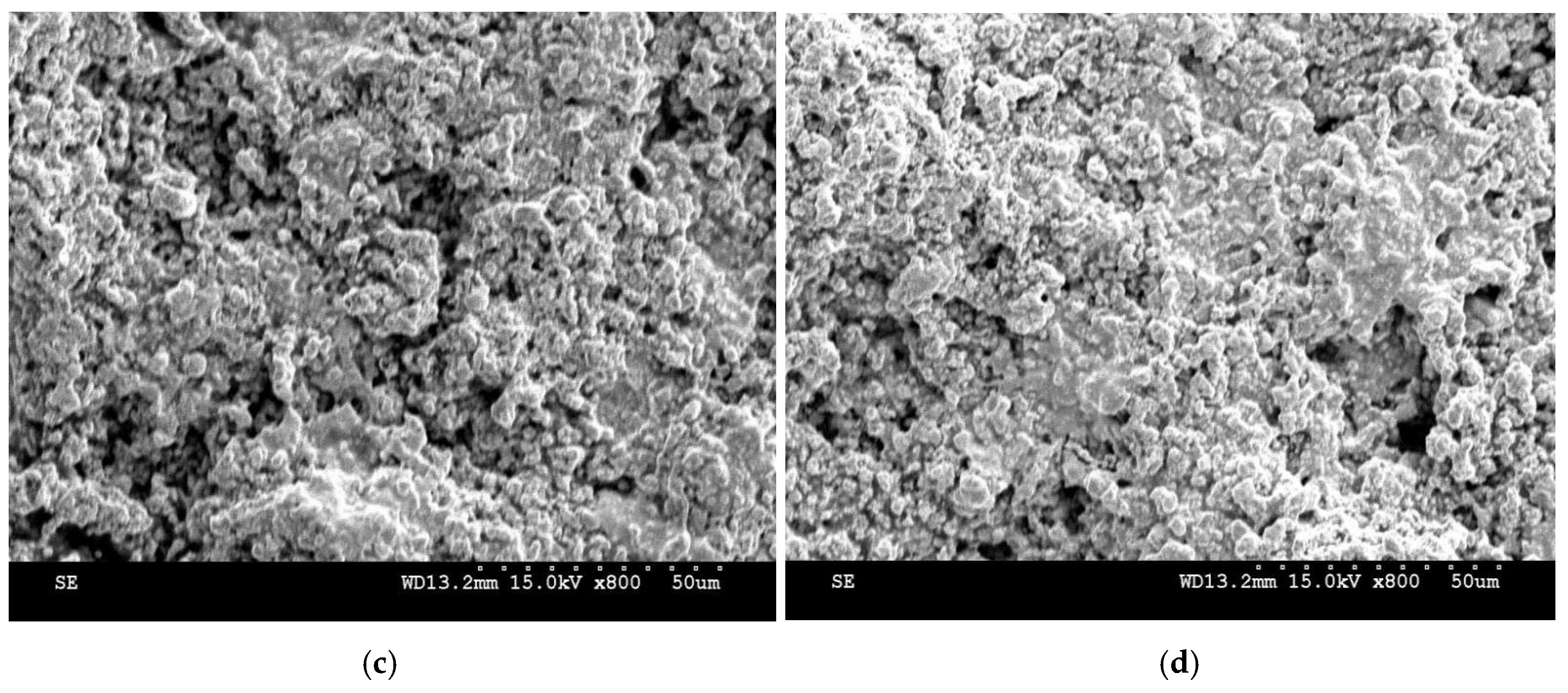 Preprints 208108 g003b