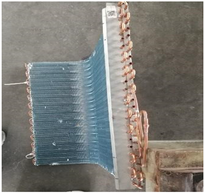 Preprints 195996 i007