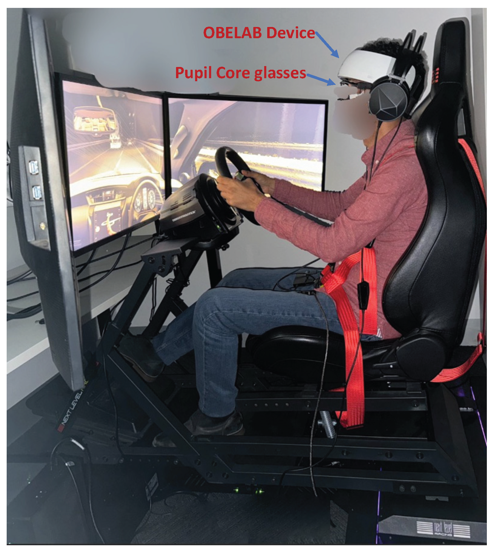 Preprints 165273 g001