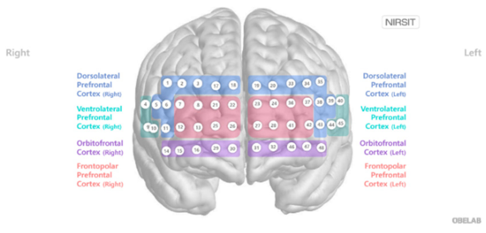 Preprints 165273 g003