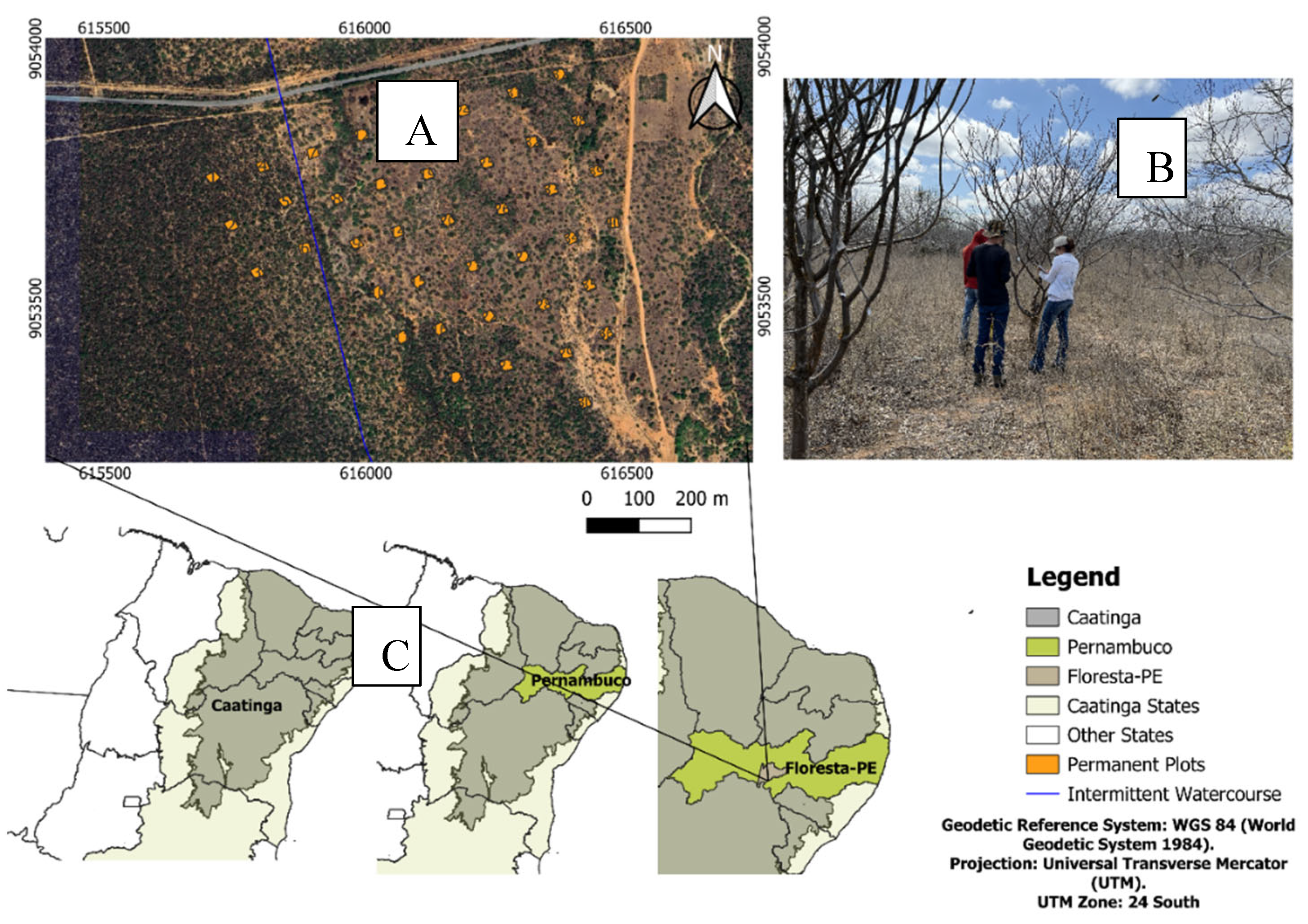 Preprints 160318 g002